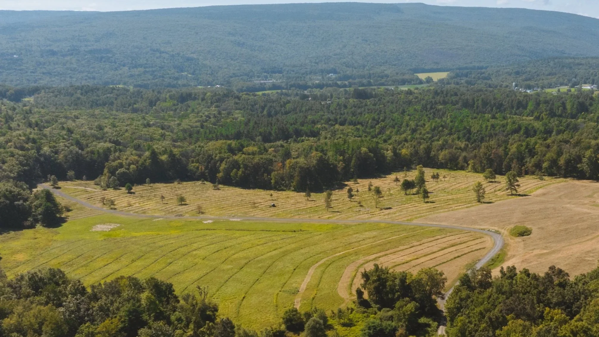 DJI_20250902230255_0349_D.jpg