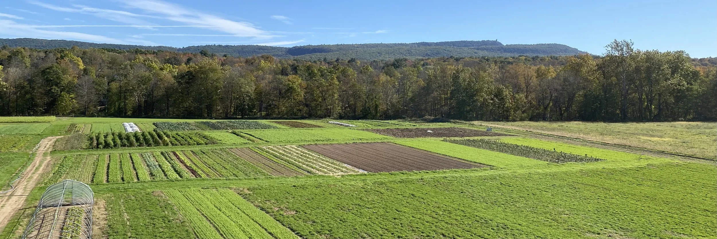 CHESTNUT ROAST - TRIBUTARY FARM