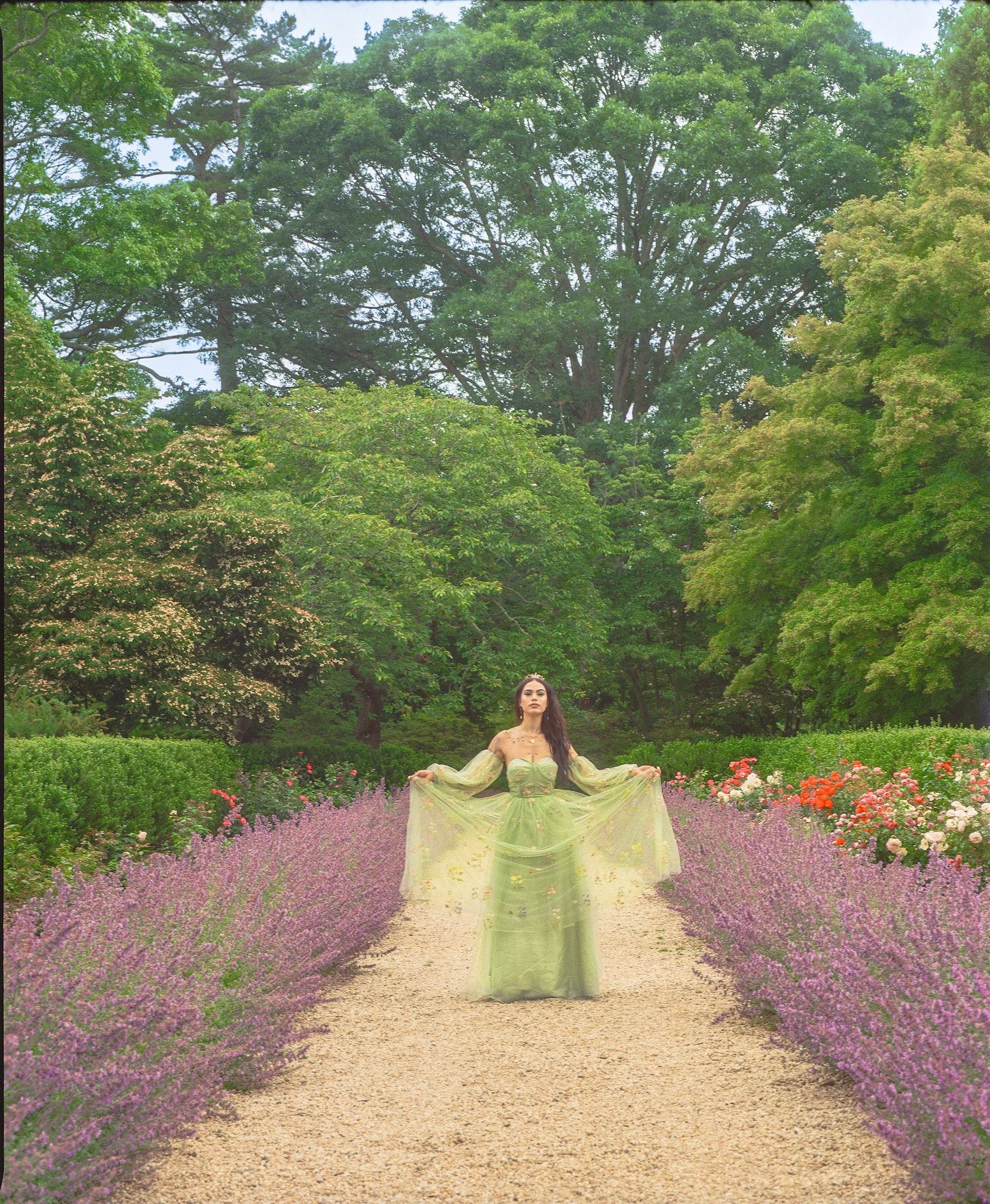 Welcome To Fairy Wonderland.