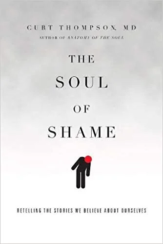 Understanding Shame Book