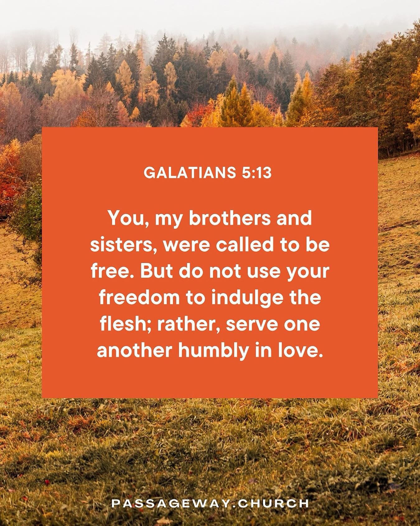 Galatians 5:13