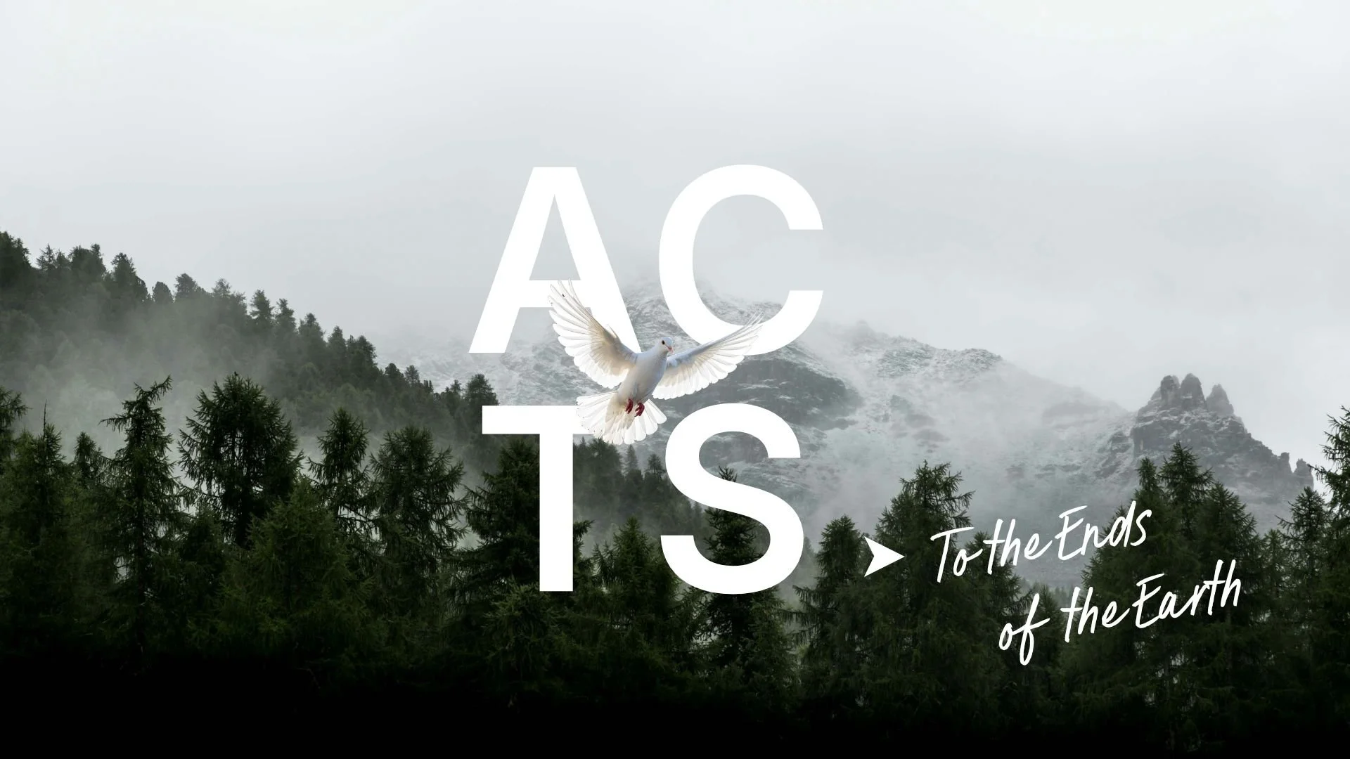 Born To Boldly Witness