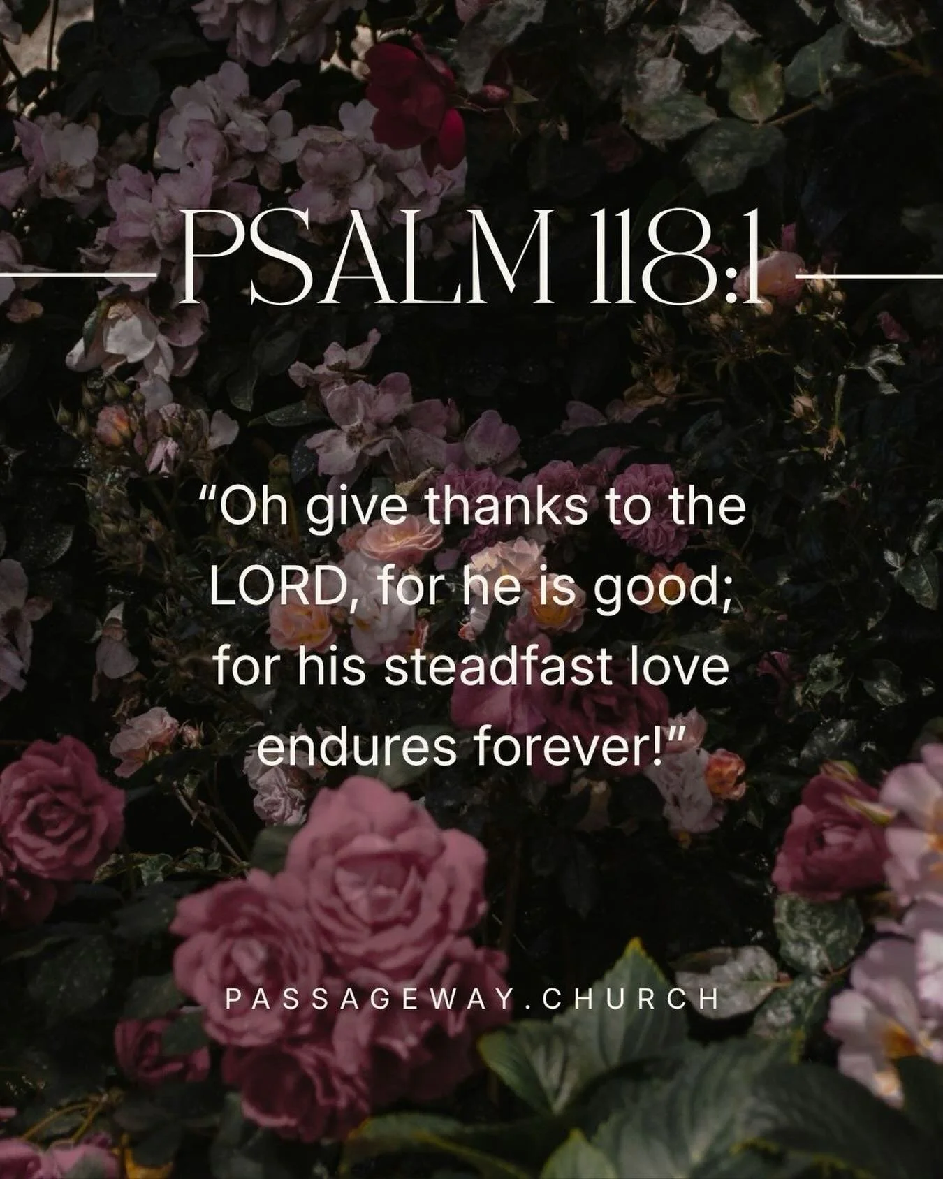There are certain moments when it&rsquo;s not only appropriate, but expected, to celebrate. Like Kool &amp; the Gang we celebrate good times. We celebrate our favorite sports teams when they win a championship. Next Monday one college basketball team