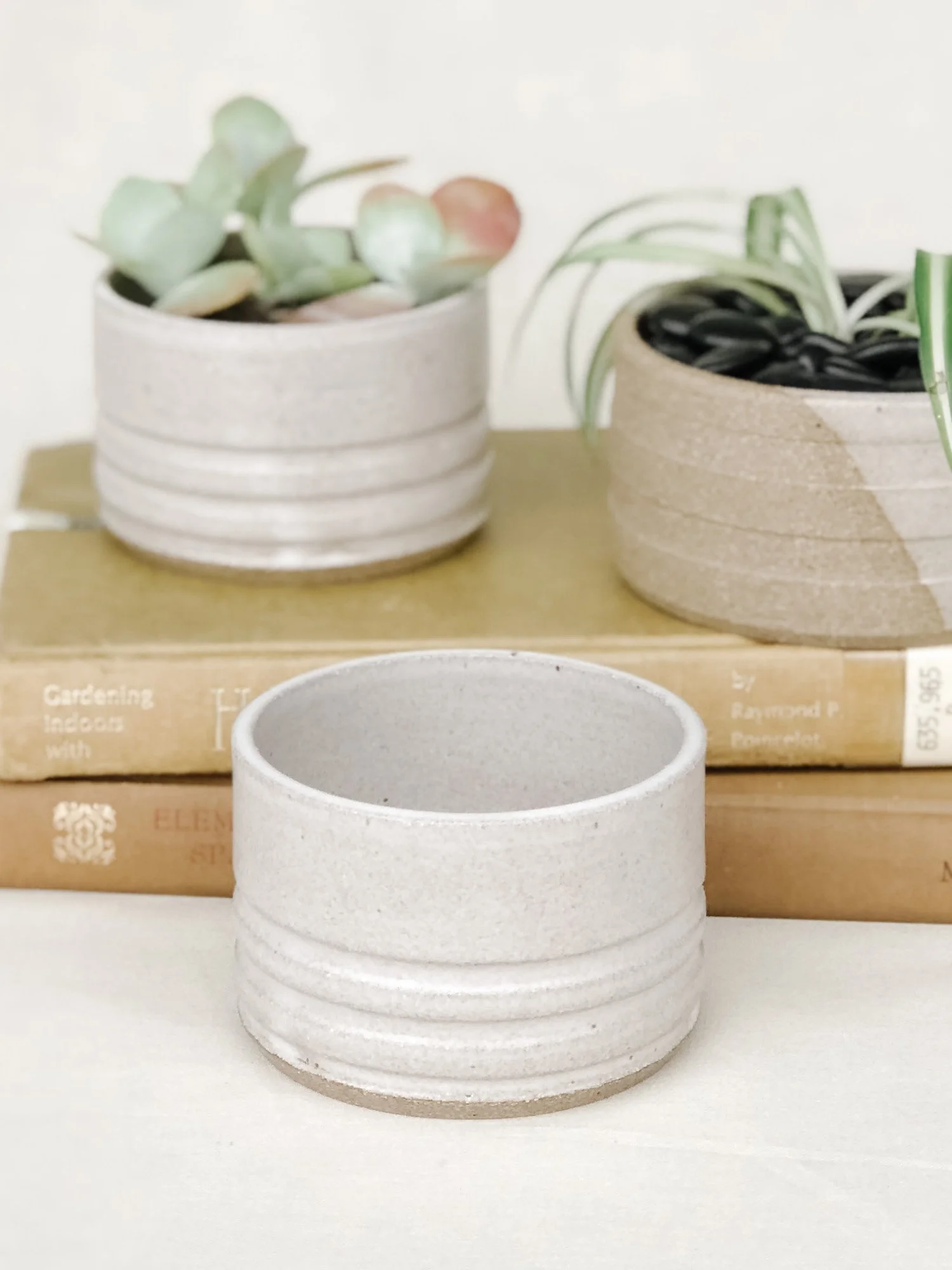Jordyn_Brummett_Mini_Planter_1.jpg