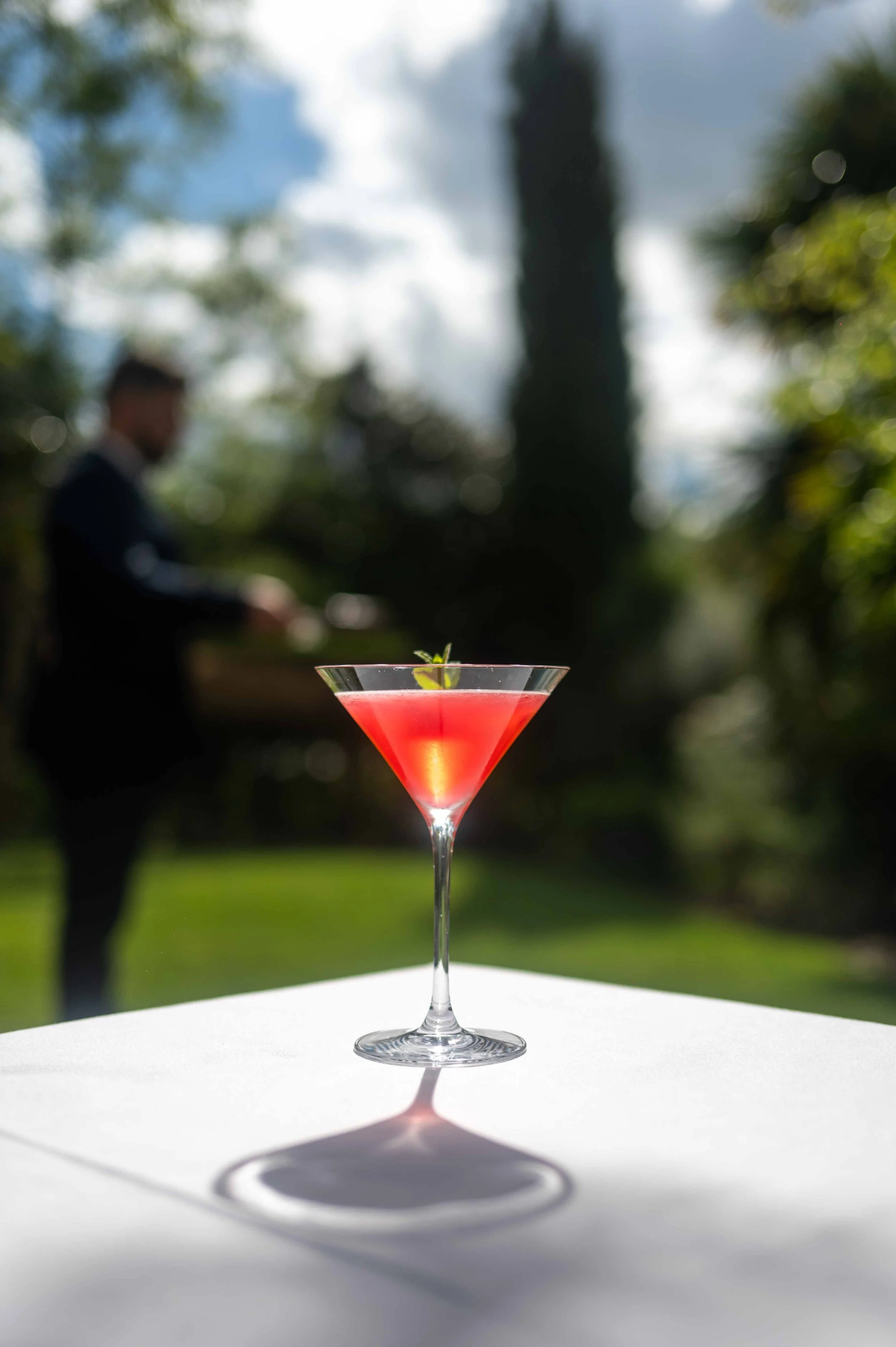 L’influence d’Instagram sur l’évolution de la photographie culinaire