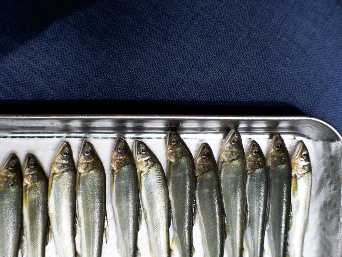 Maîtriser l'éclairage : le secret des meilleurs photographes culinaires de France