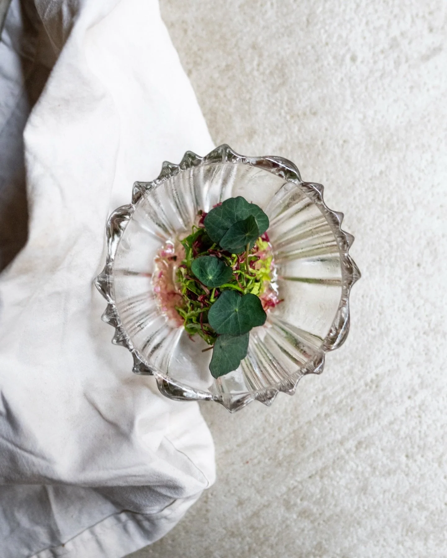 Chez @vivide_paris - la gastronomie v&eacute;g&eacute;tale ne se contente pas de exister : elle s&rsquo;&eacute;panouit, explorant contrastes, saisons et mati&egrave;res. Ici, le l&eacute;gume devient narrateur, l&rsquo;&eacute;motion prend forme dan