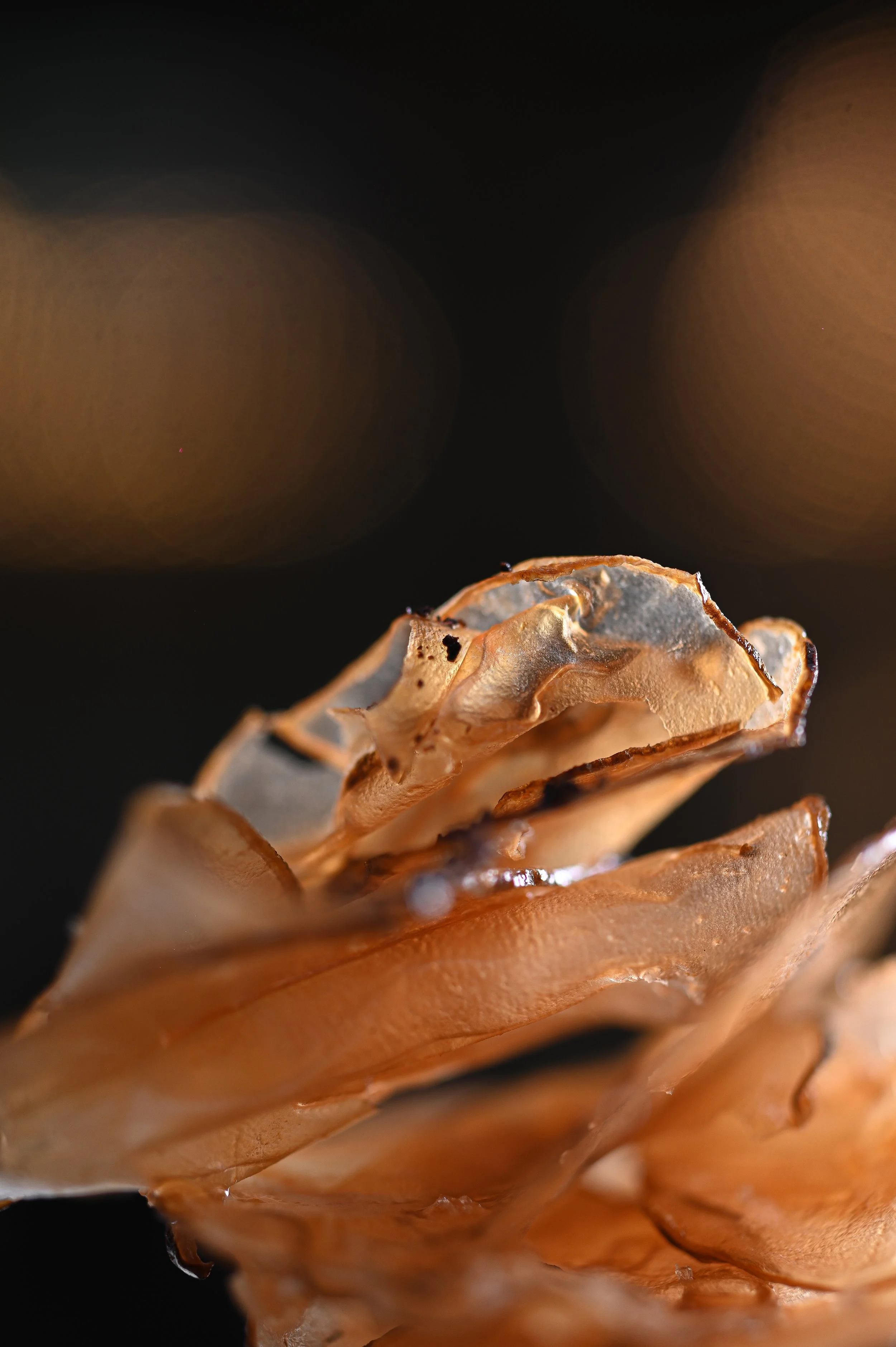photographie culinaire zoom sur des details texturés