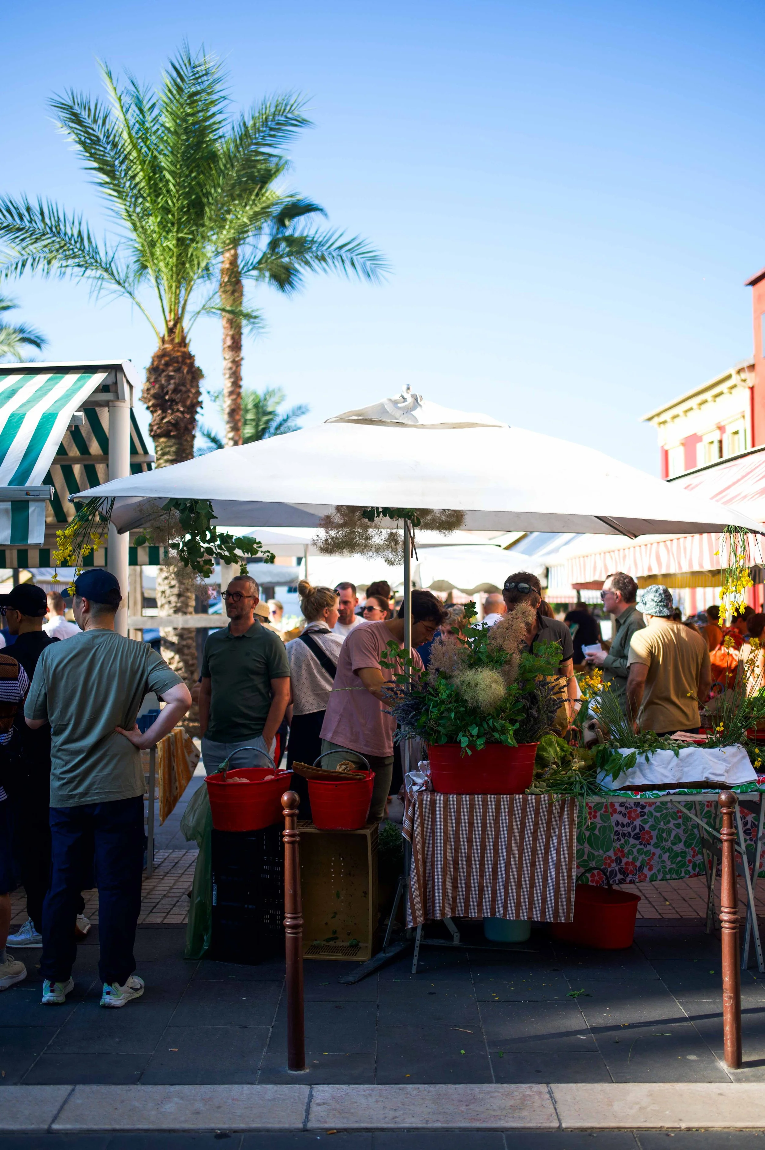 Festival des Etoilés - Louis XV