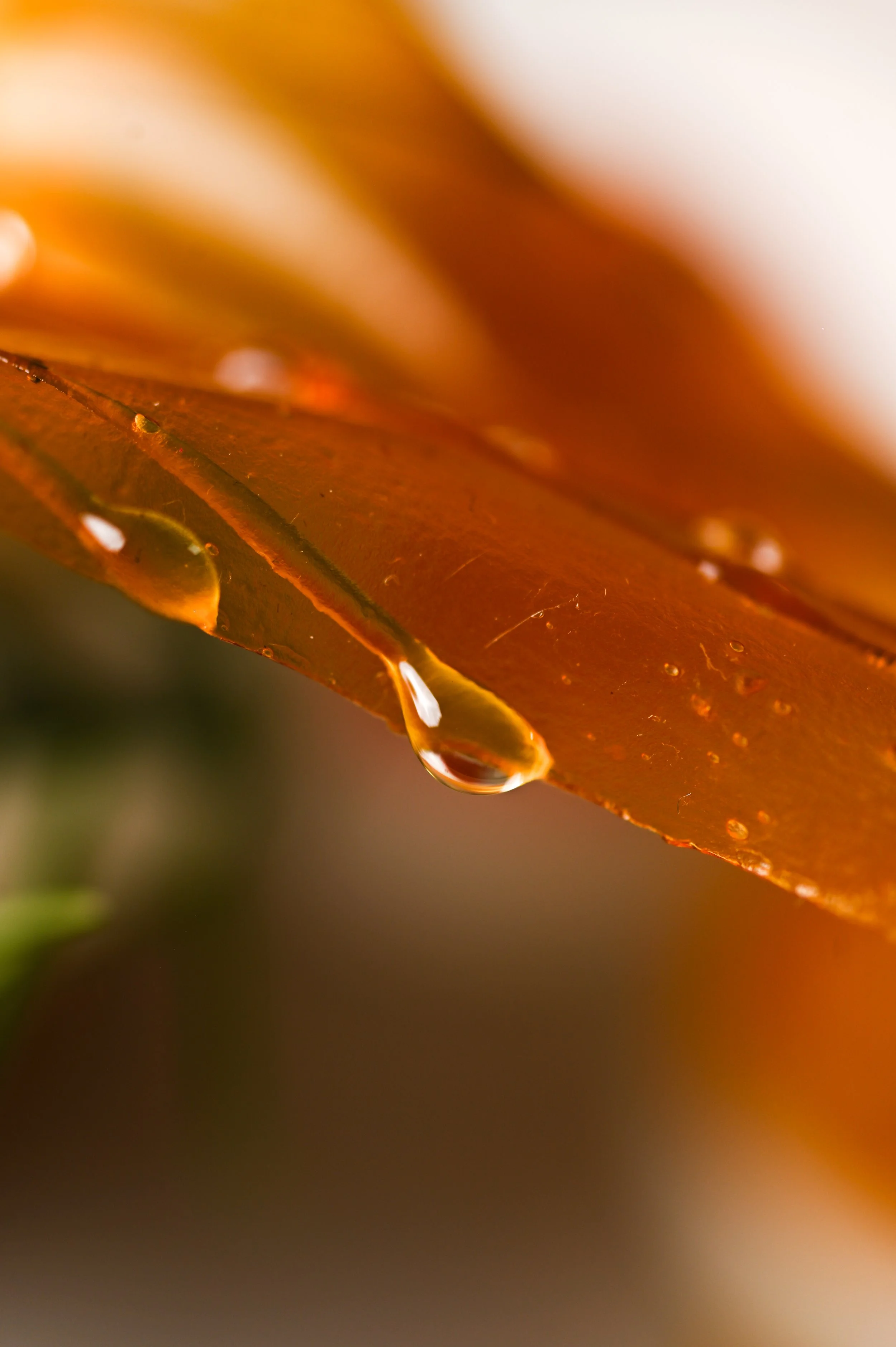 photographie culinaire de détail pour restaurant gastronomique à Paris