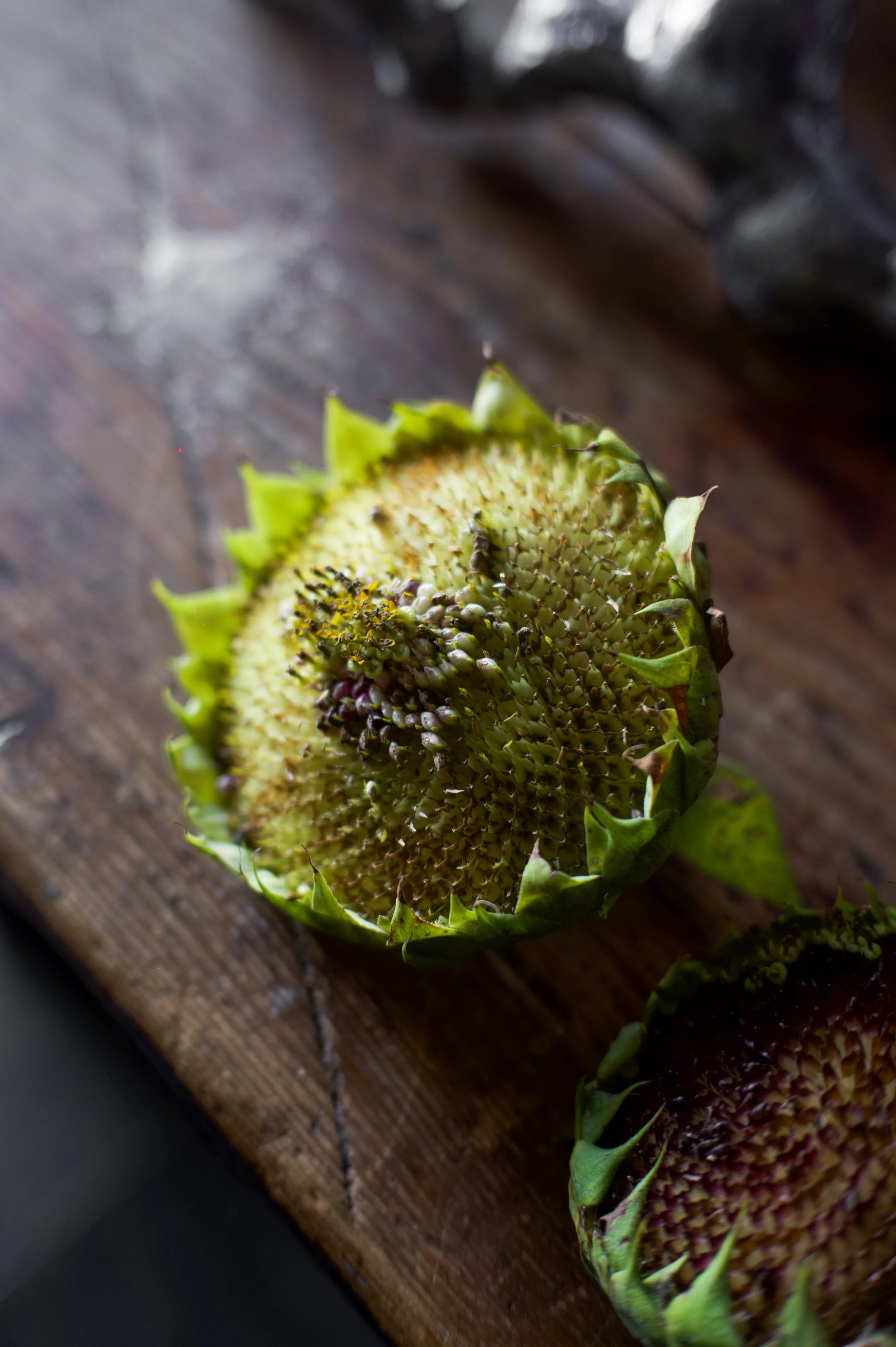 photographie artistique d'un tournesol en objectif macro