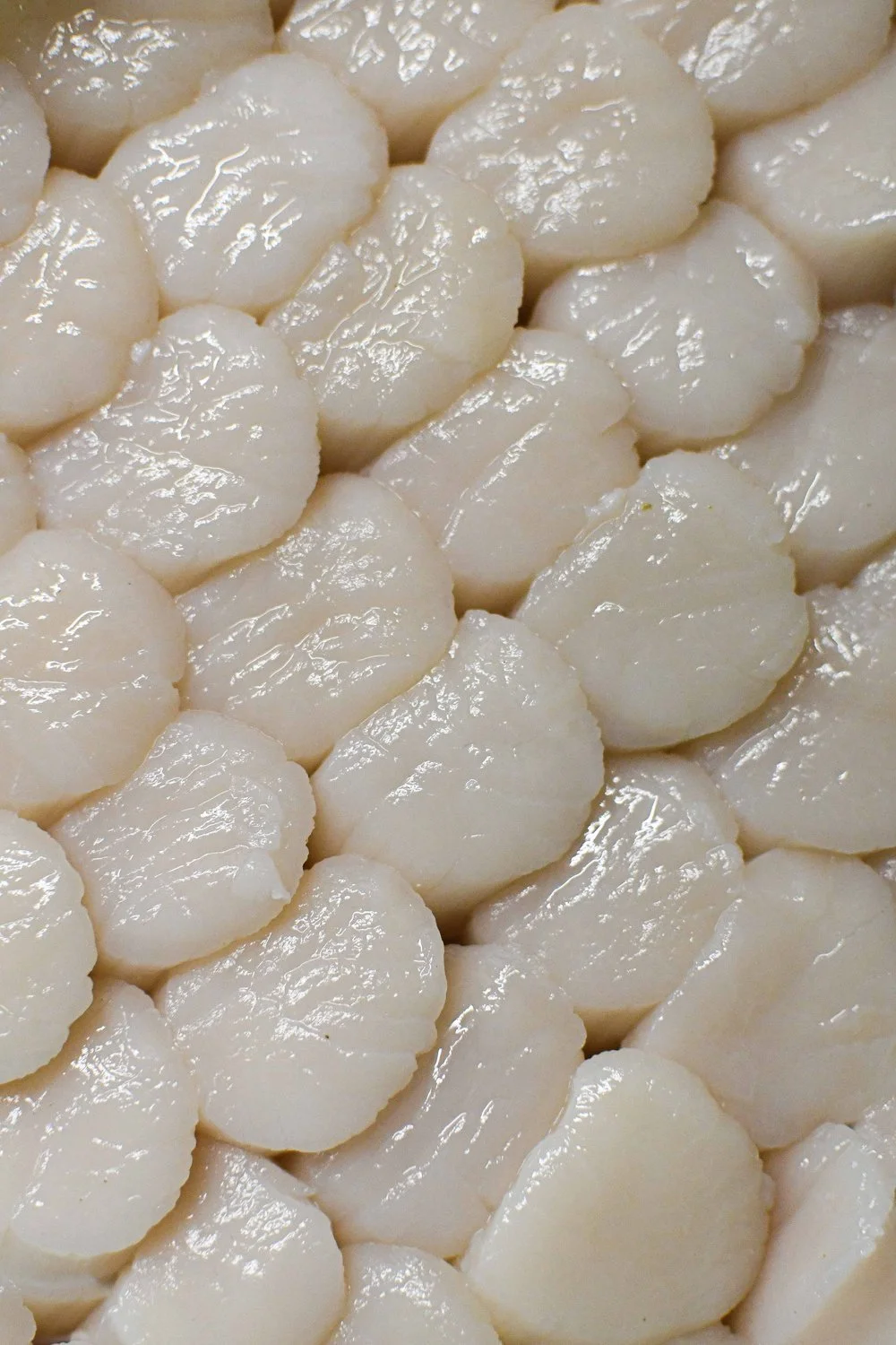 photographie culinaire pour restaurant gastronomique en France