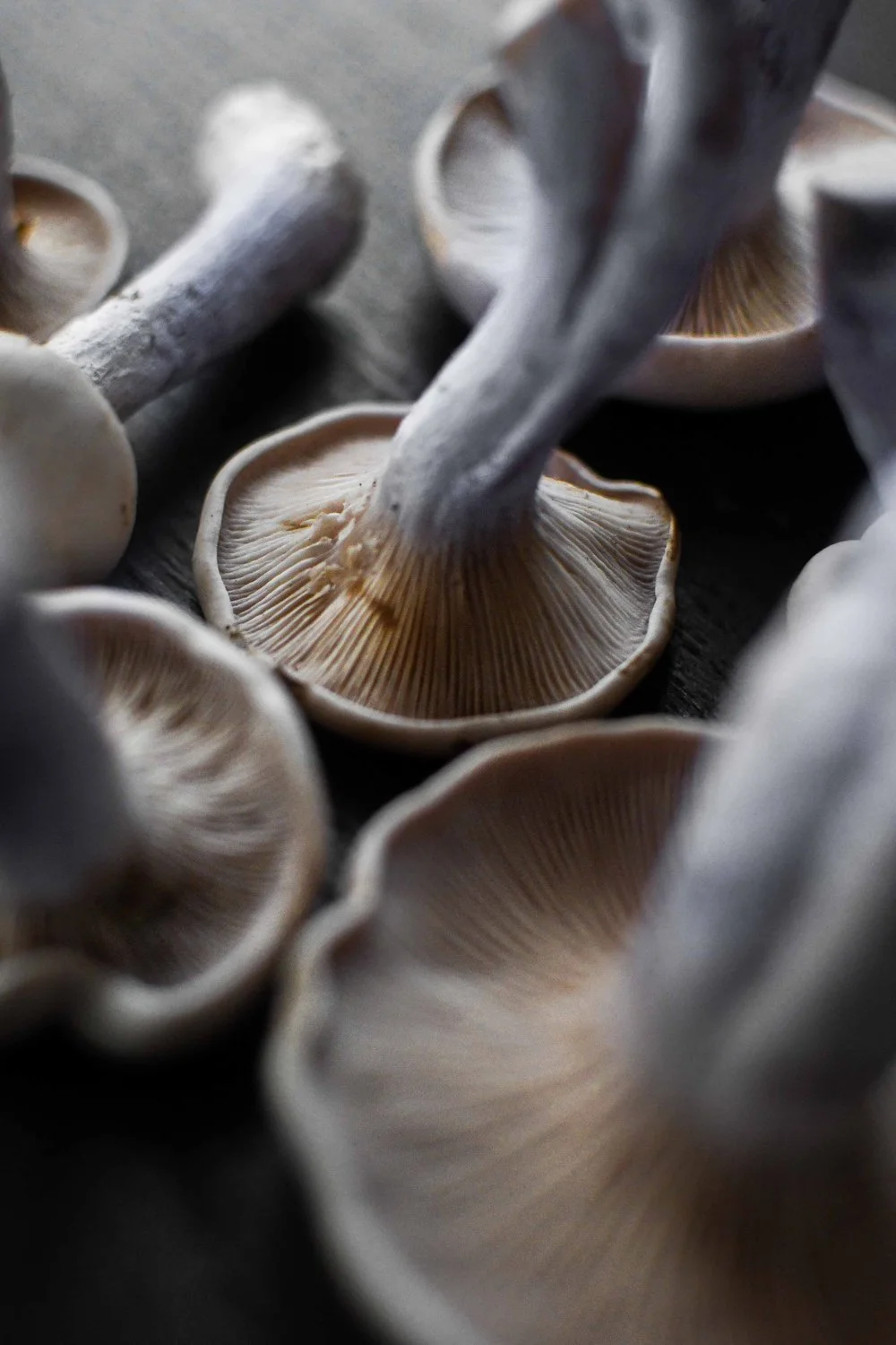 photographie artistique pour restaurant gastronomique en Europe