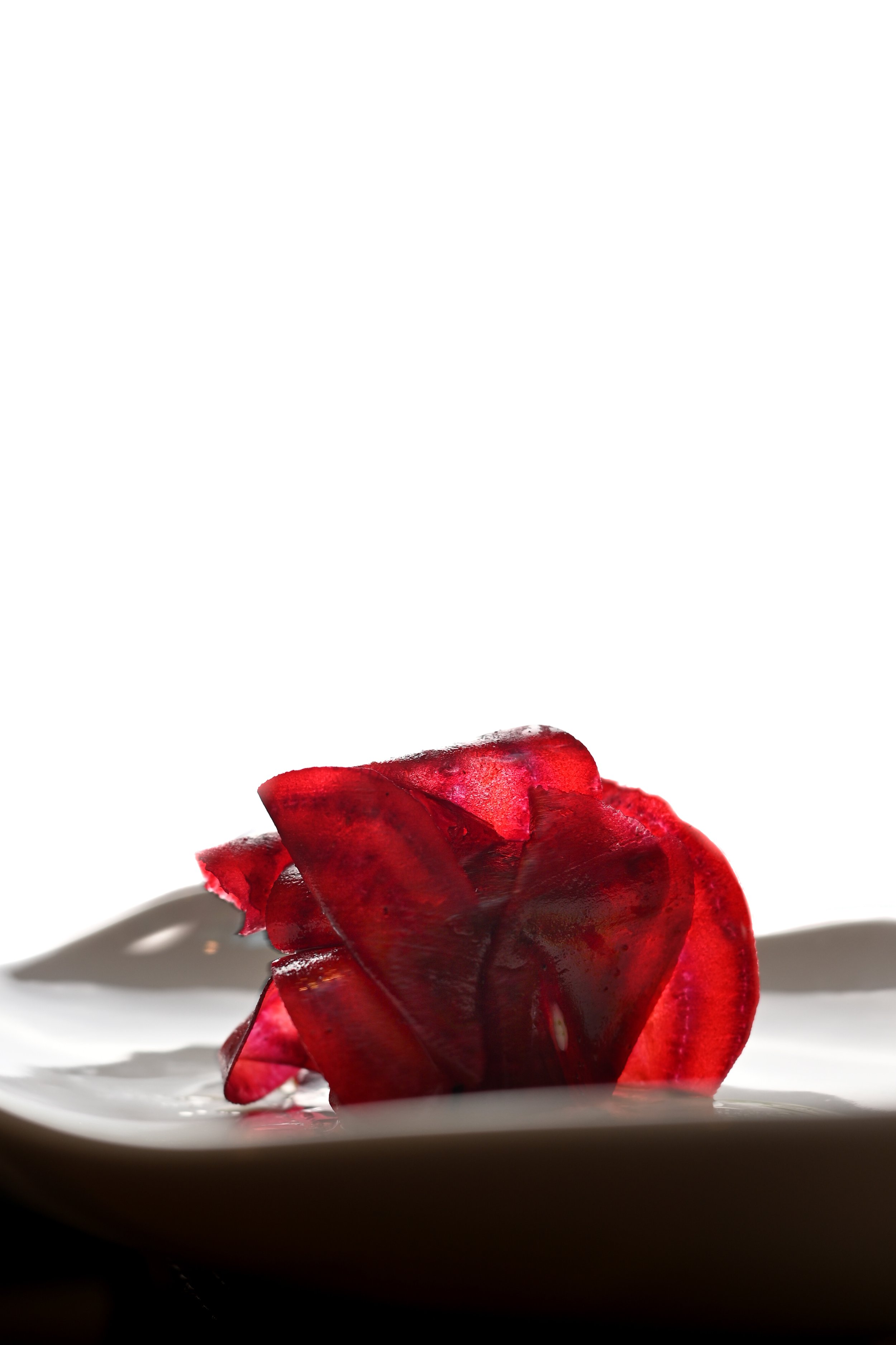 photographie de produit brut pour restaurant gastronomique