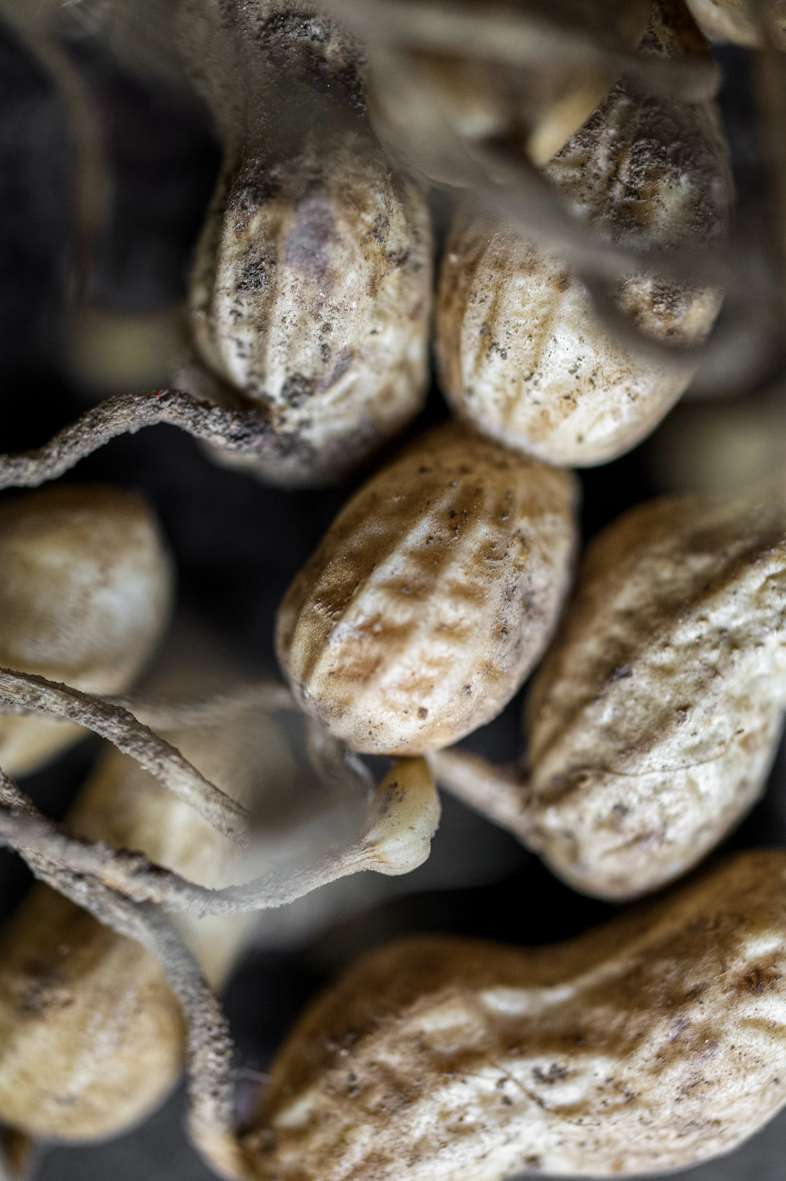 photographie culinaire de détails et textures pour restaurant parisien