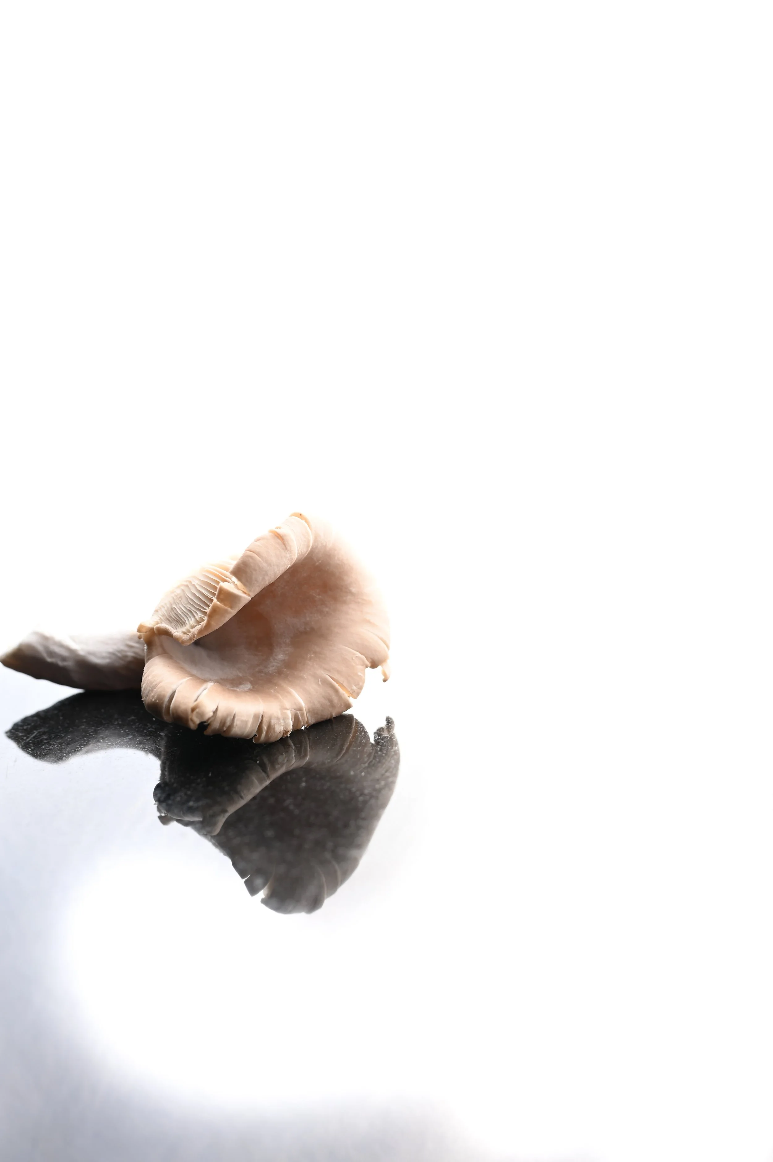 photographie de produit brut pour restaurant gastronomique