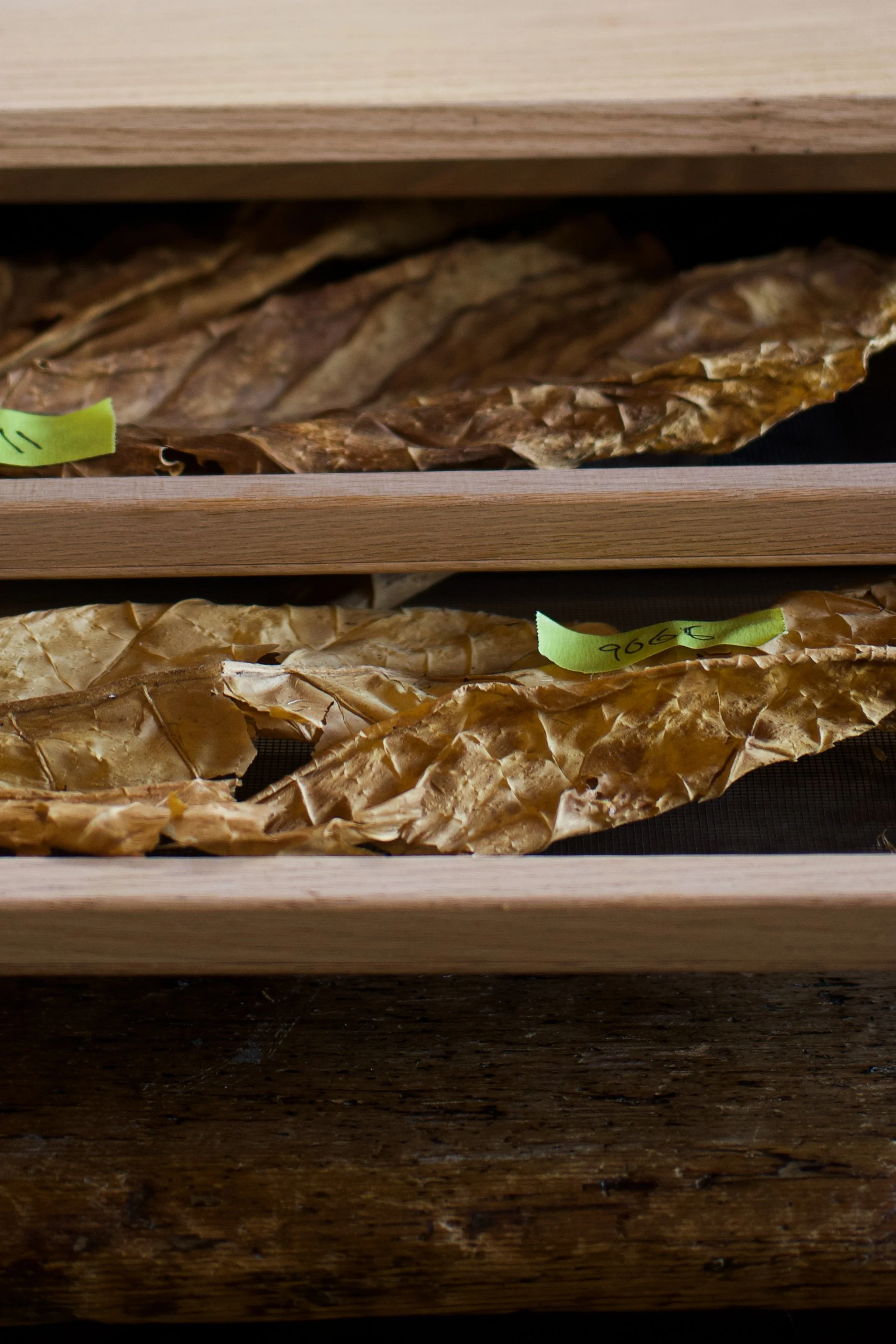 photographie culinaire de détails et textures pour restaurant parisien