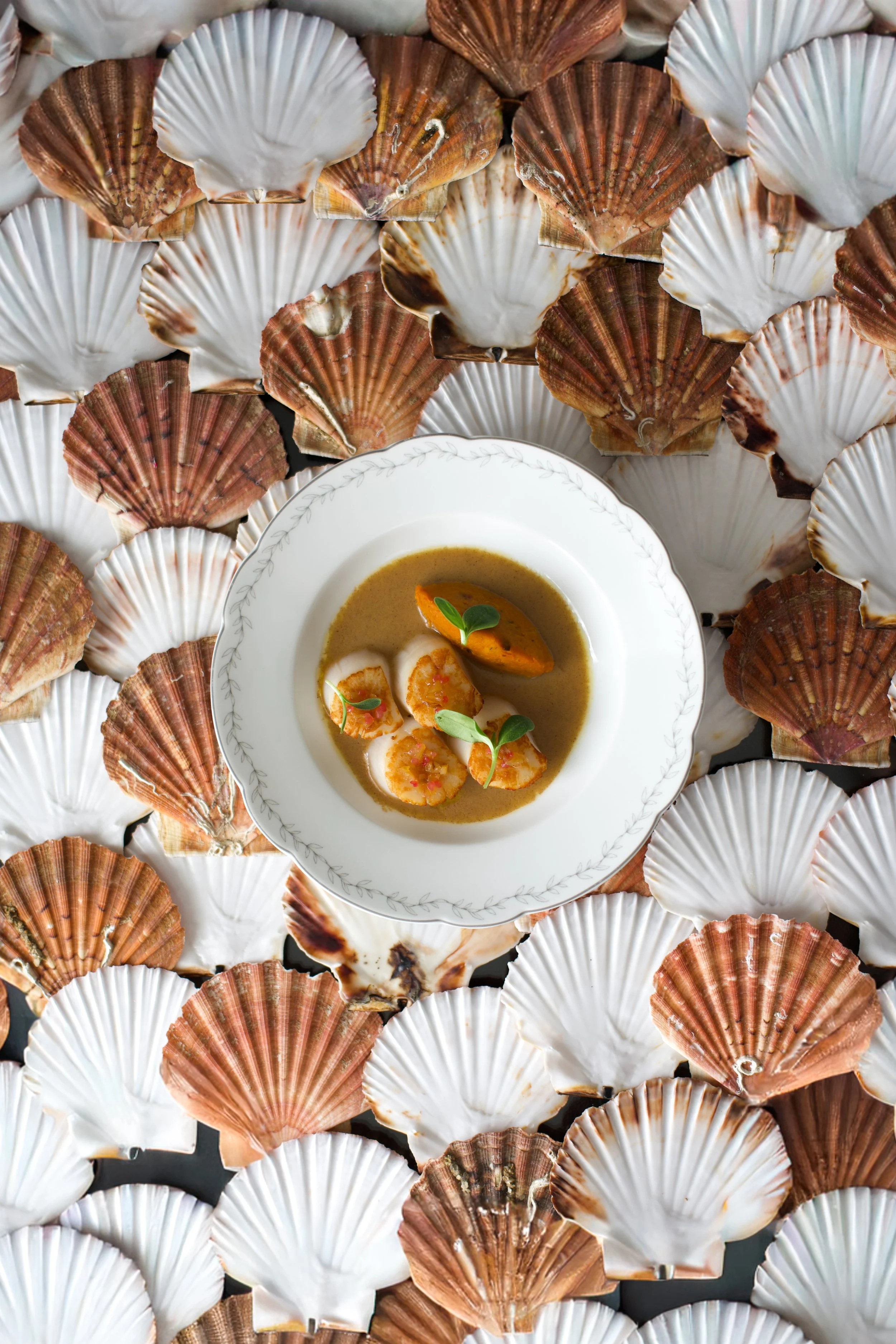 photographie food artistique pour restaurant gastronomique