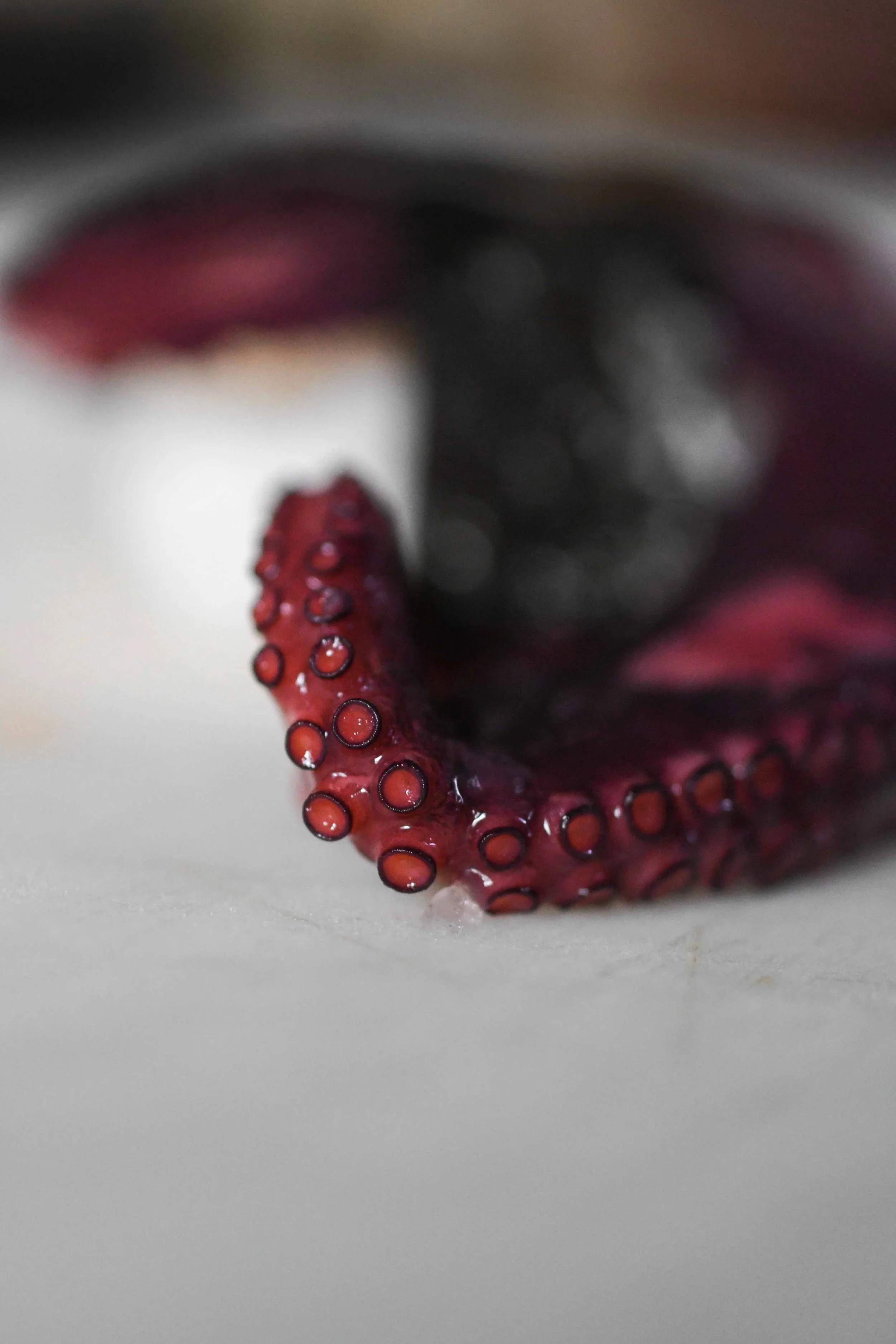 photographie culinaire de textures pour restaurant gastronomique