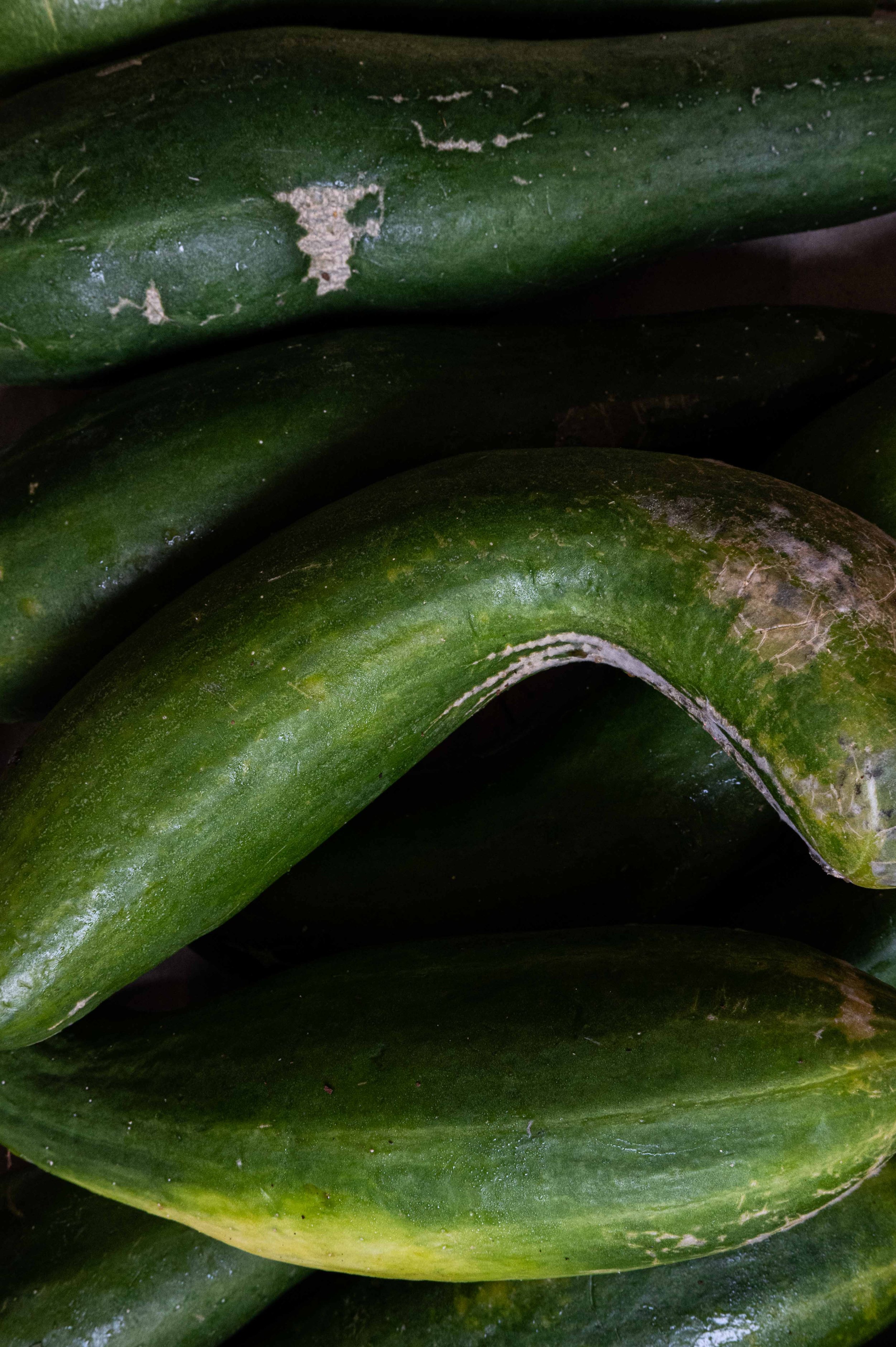 DSC_8222.jpg