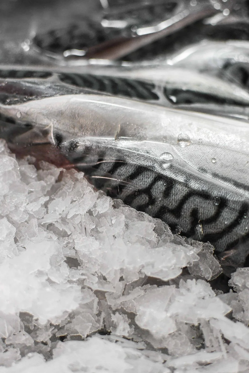 photographie culinaire de textures pour restaurant gastronomique en France