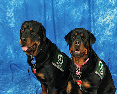 Boris and Zoey, owned by Beecher and Misty Denny, were Rottweilers and each served in MTD for 6 years.