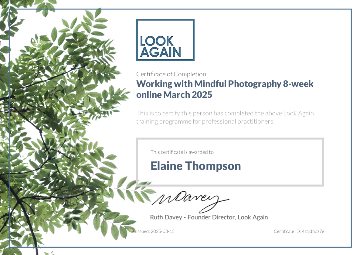 Elaine Thompson - 2025-03-15.png