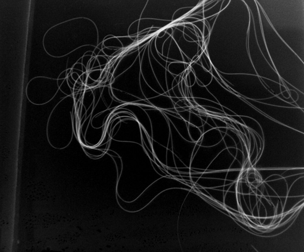 12-DSC01545b&w+b.jpg