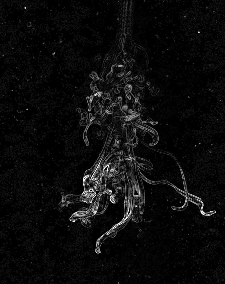 plastic+straw+scan3.jpg
