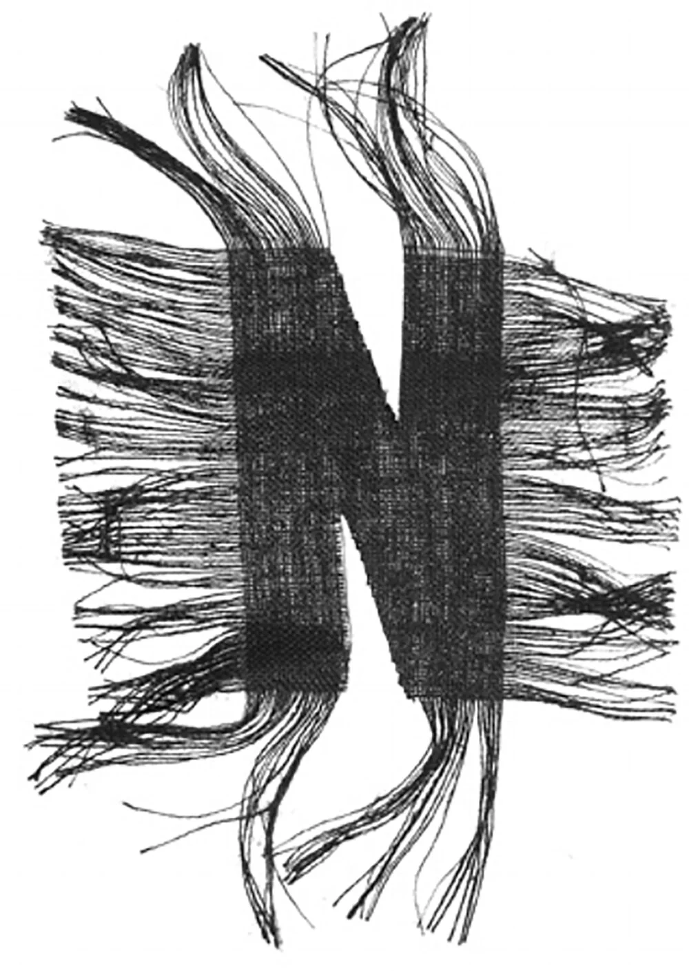 17-DSCN1568.jpg