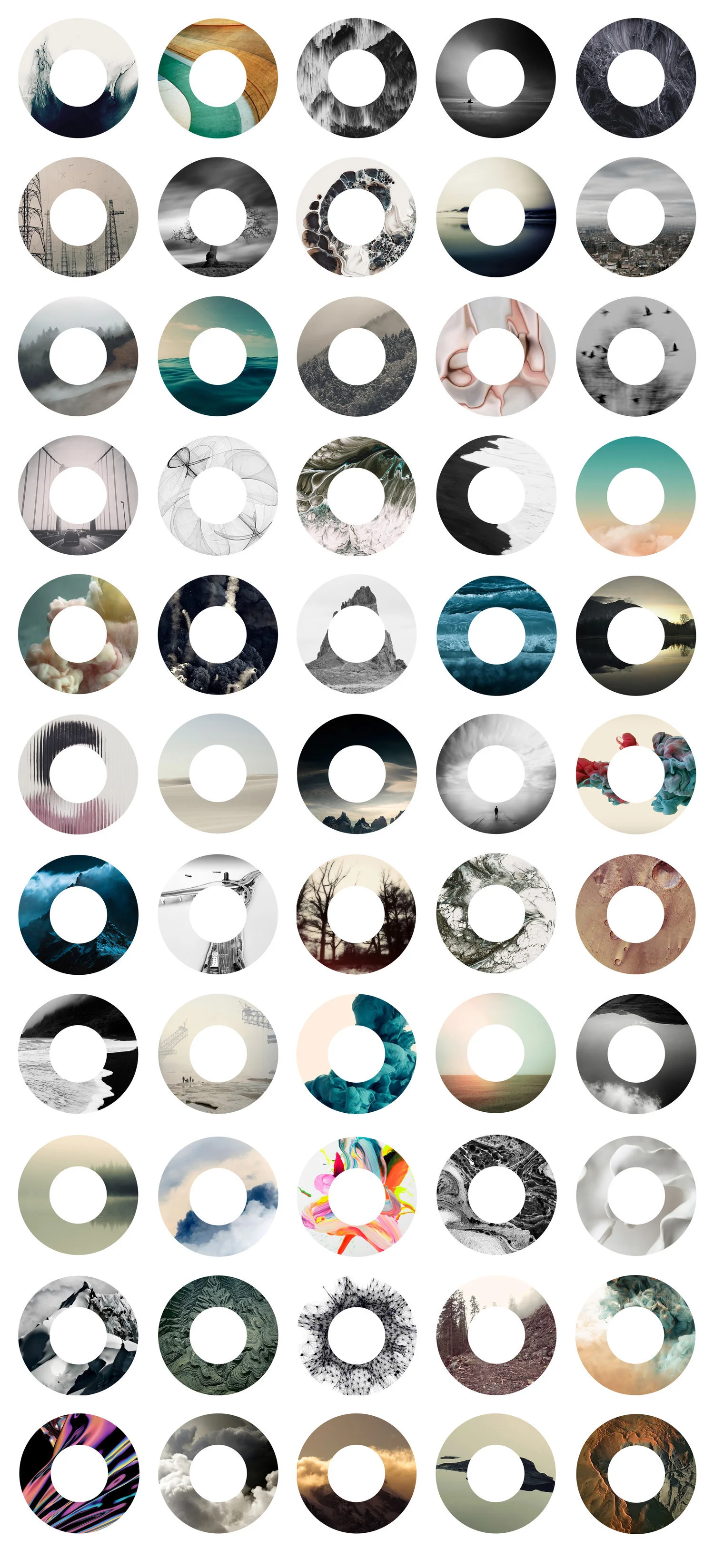 _iris_mosaic.jpg