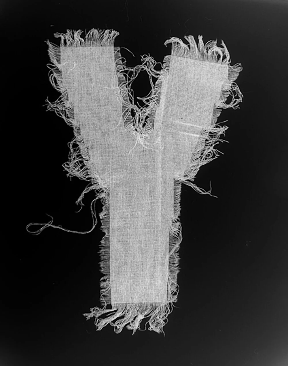 DSCN1567.jpg