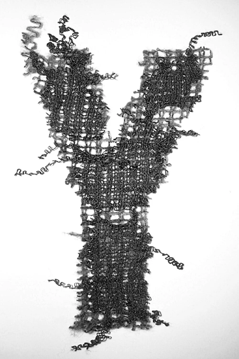 DSCN1631.jpg