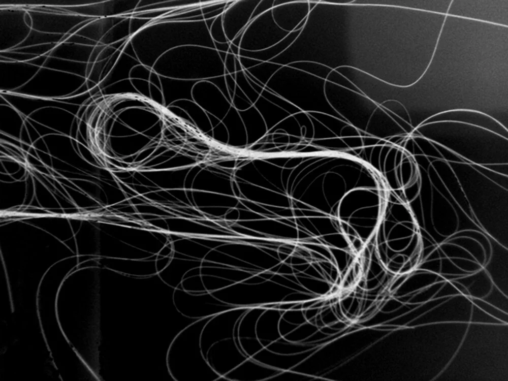 13-DSC01538b&w.jpg