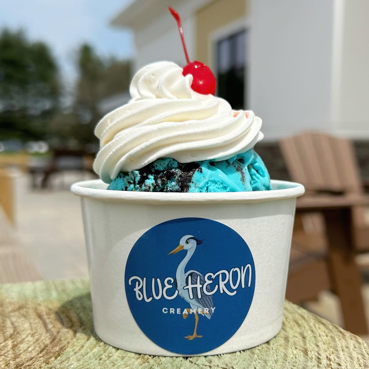 What a beautiful day for ice cream!🍦 

We are open in Hartford and Enfield today from 12 pm - 10 pm! Come stop by!

Also, make sure you bring your furry sidekicks to our Enfield location for a pup cup! FREE with any purchase! 

See you soon 😋 

#in