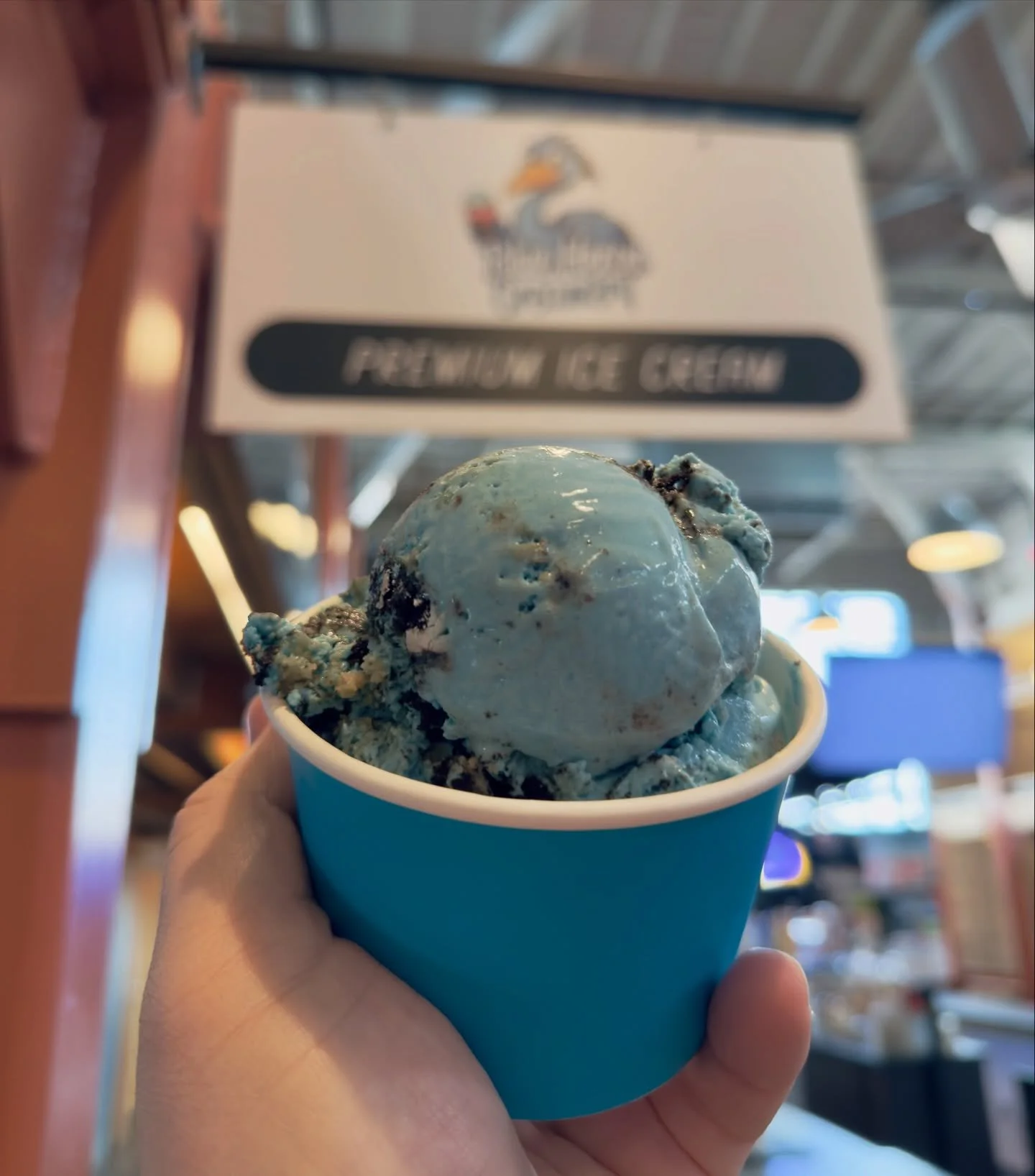 Every season is ice cream season 🍦