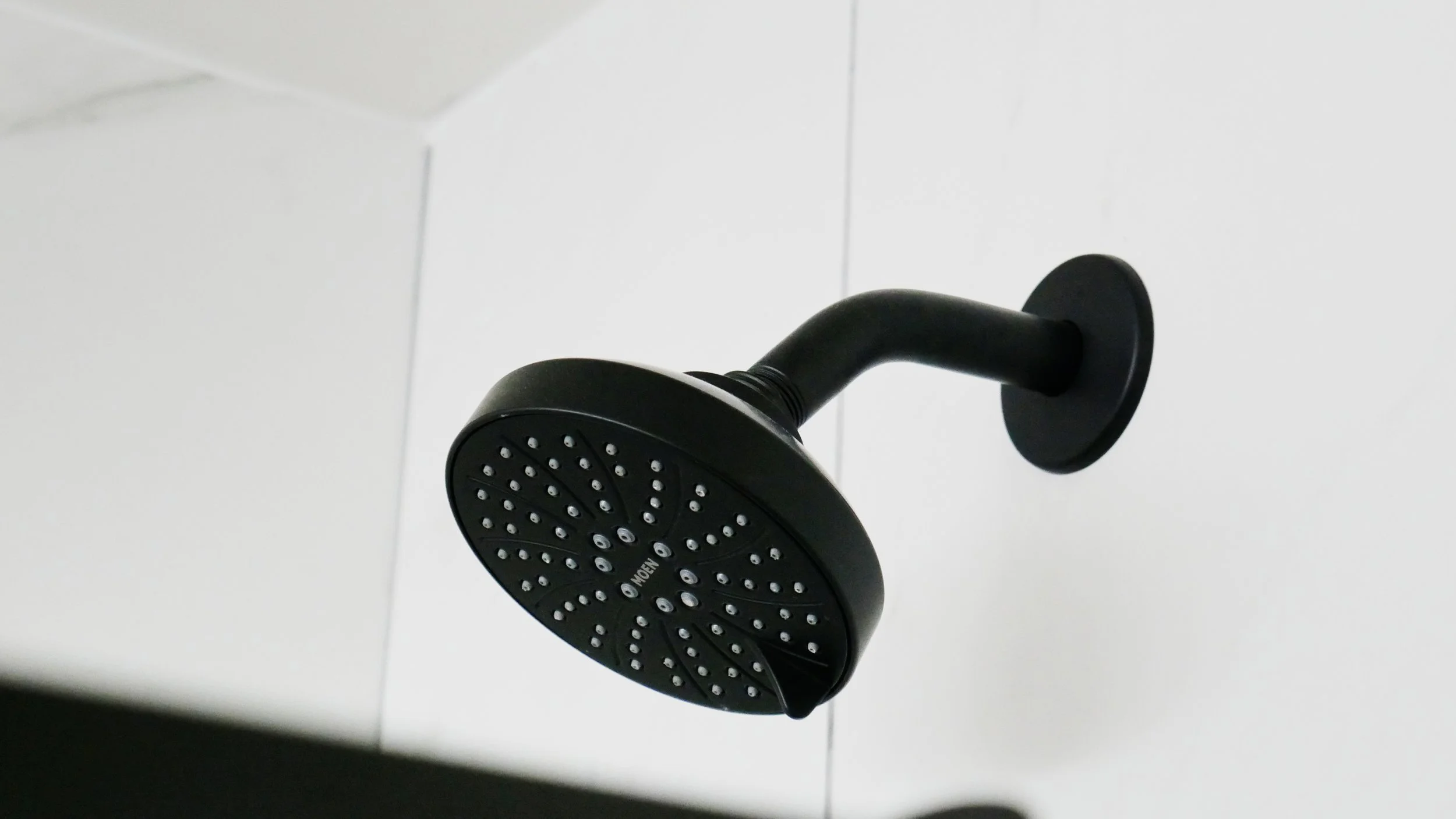 Copy of P1410450 - edited.jpg