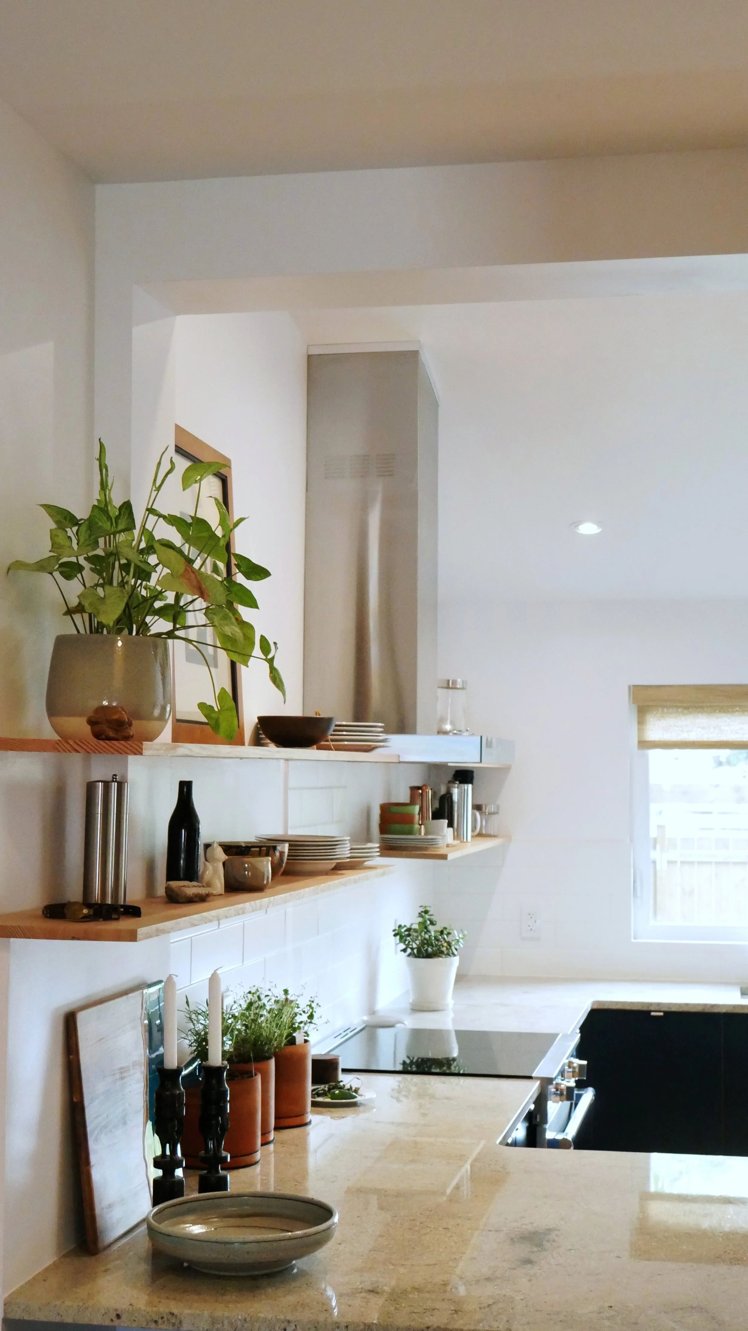 Copy of P1410537 - edited.jpg