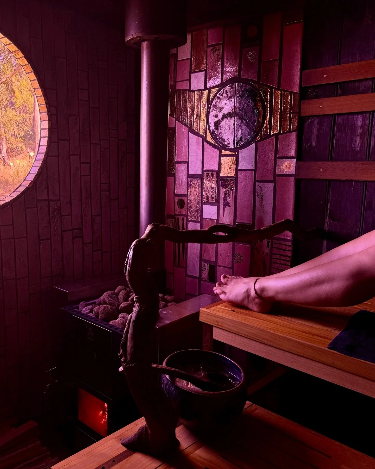 Leaning in to the sunshine these past few days with bitter sweetness. Or sweet bitterness- as it was explained to me, the original translation is that the sweetness usually precedes bitter&hellip; and we need both&hellip; in food and perhaps in life 