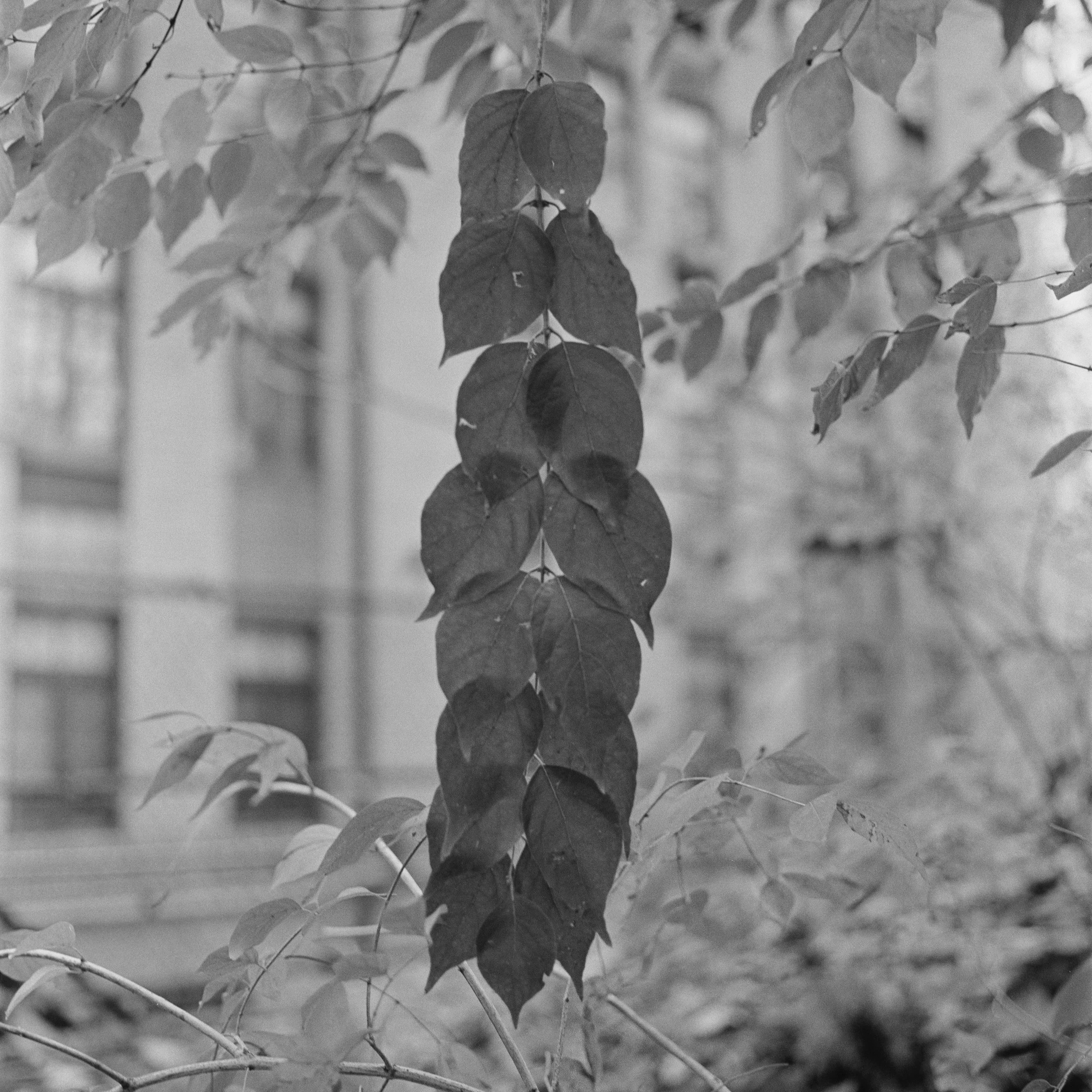 a map without words, II