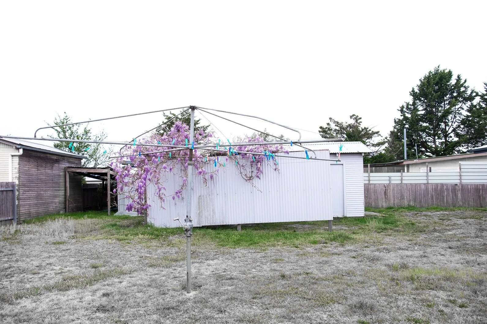 Jennifer Drew_clothesline_01.jpg