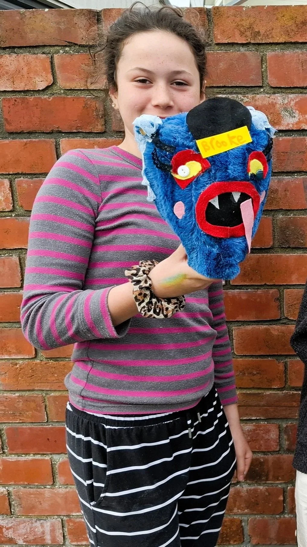 Fuzzy Monsters