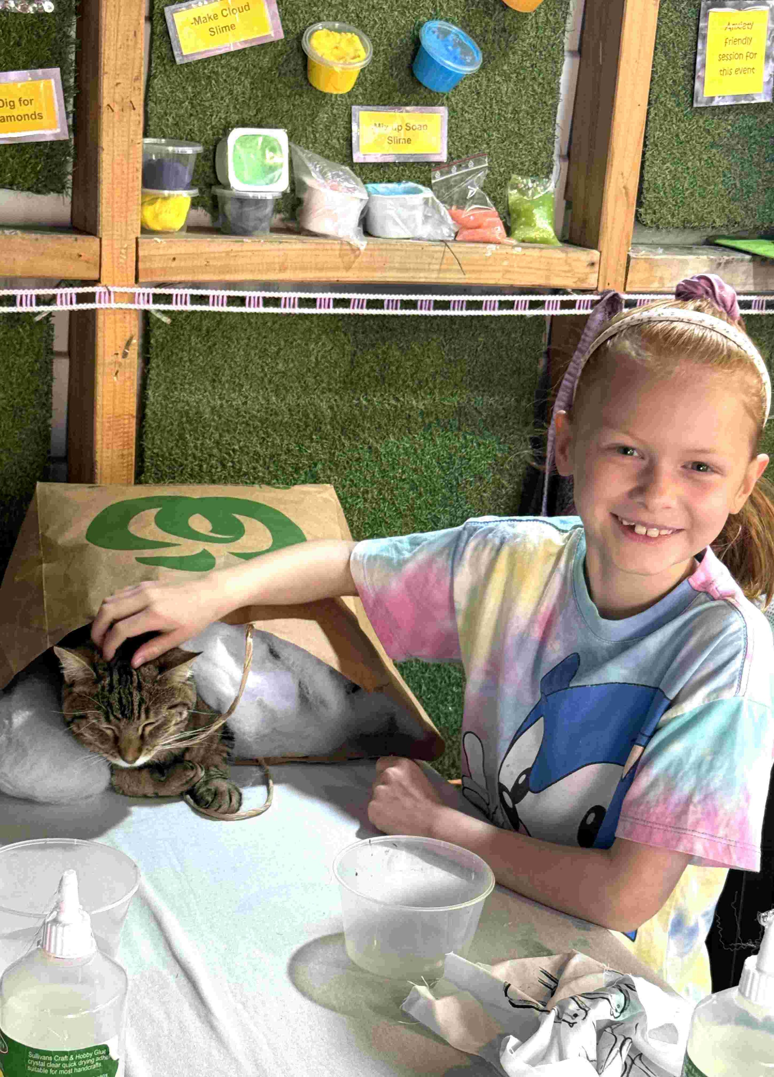 Biscuit the cat asleep in the stuffing