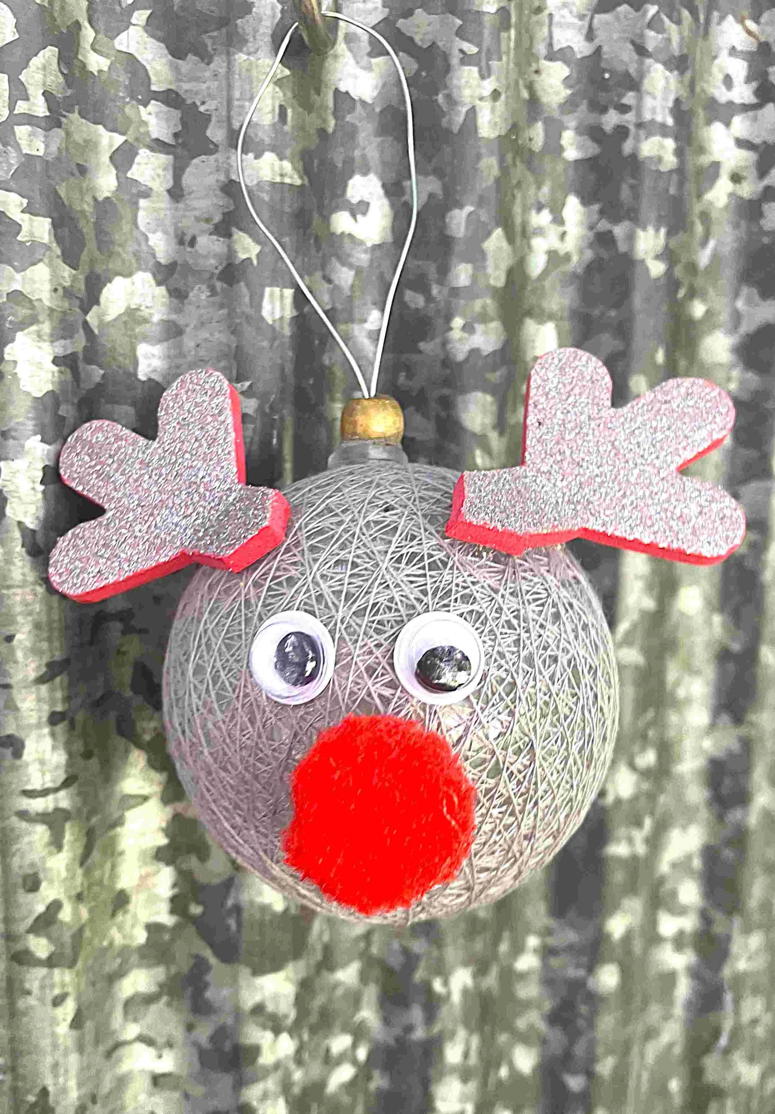 reindeer.jpg