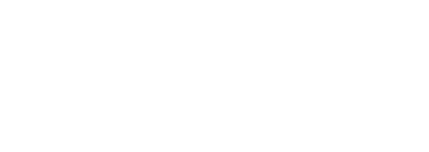 Stephani Lewis | Costume Designer