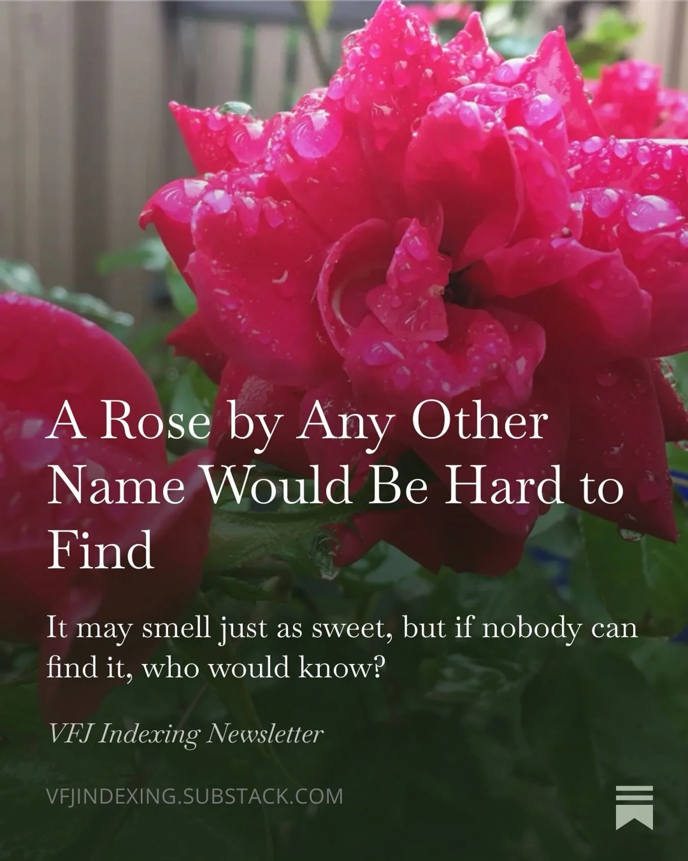 My most recent Substack post is a brief introduction to cross references. 📚✨

And actually, now that I think of it, the title is apt because See/See also references are a somewhat thorny topic since they can be complicated and confusing to newer ind