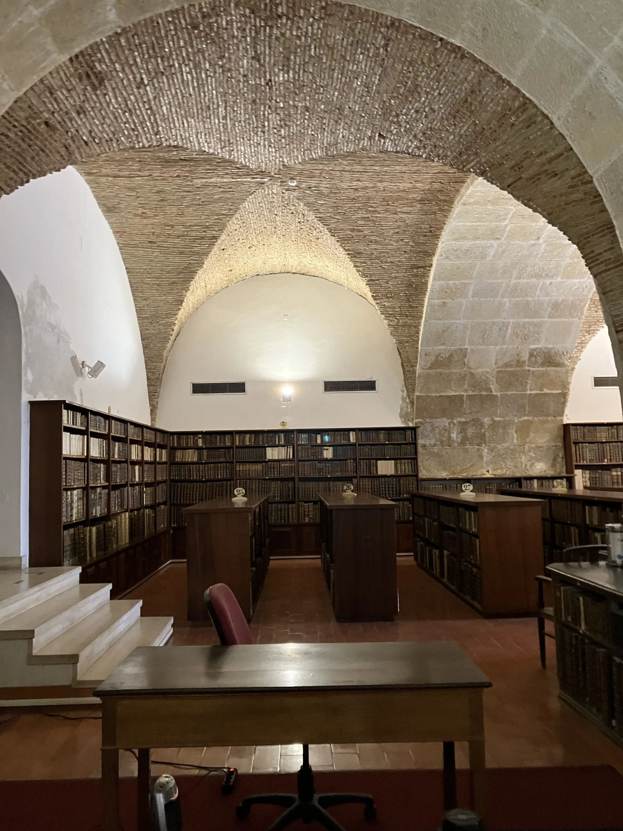 coimbra14.jpg