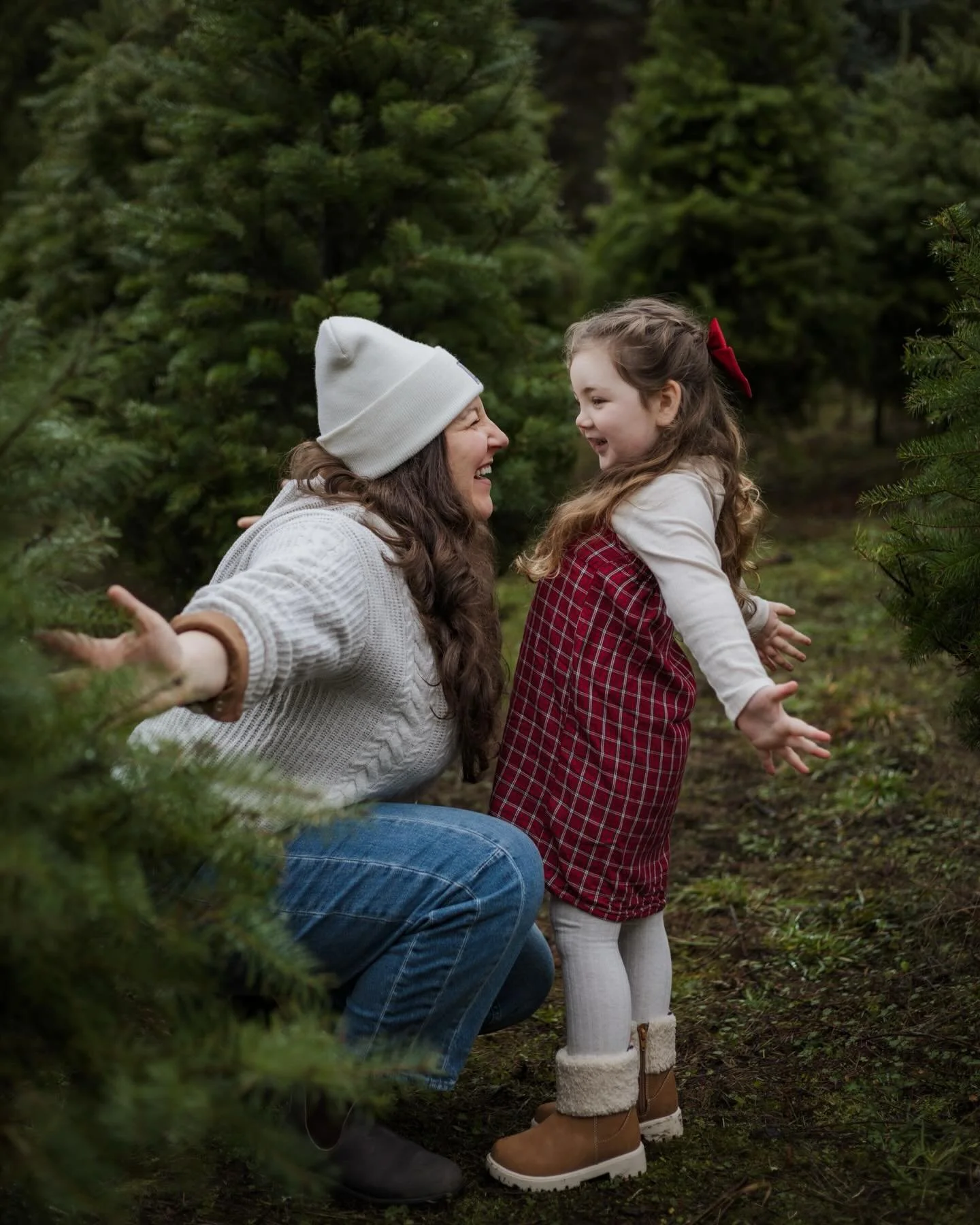 Love grows best among the evergreens 🌲