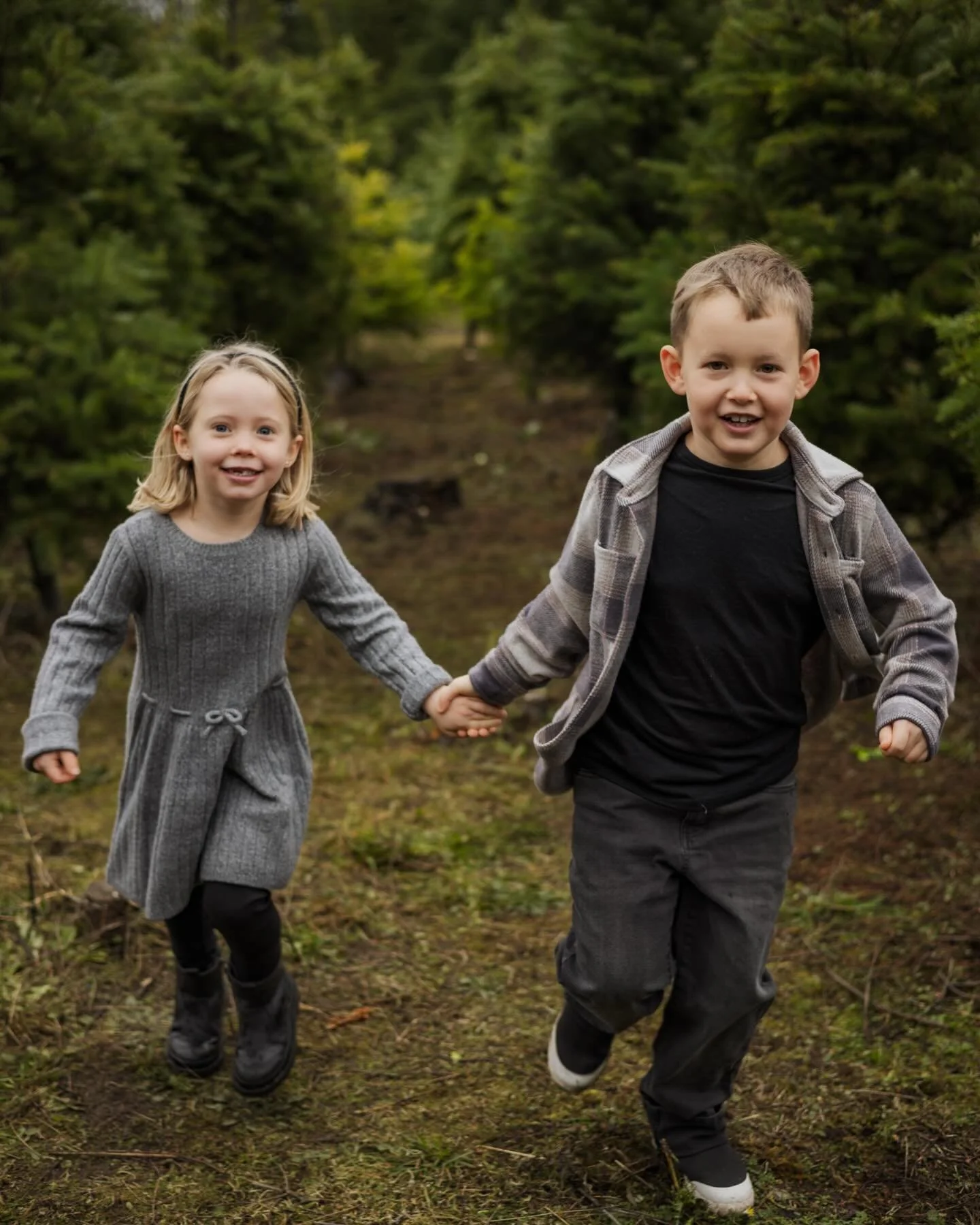 It&rsquo;s looking like a green Christmas here in Nanaimo but, snow or no snow, it&rsquo;s still the most joyful time of the year!

#lantzvilletreefarm #christmas2025 #christmasminisessions #vancouverislandphotographer #nanaimofamilyphotographer