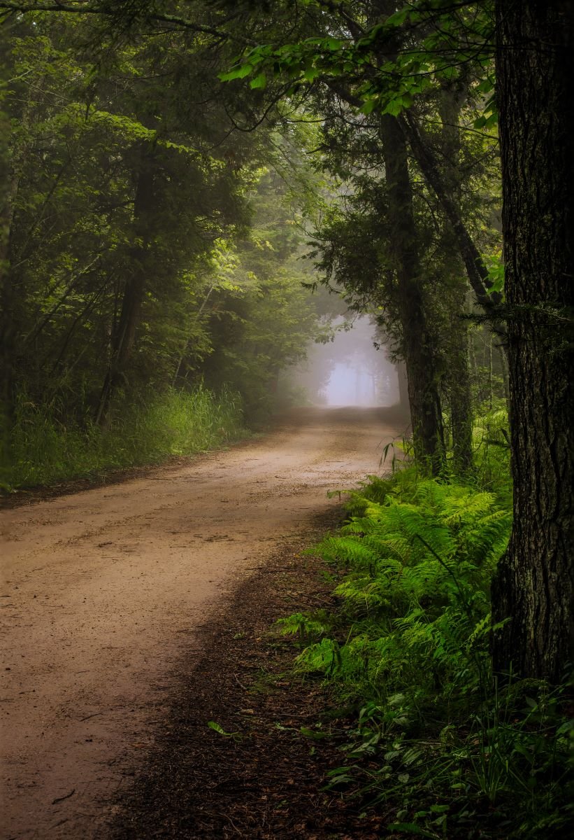 7P4A2624-Edit - Copy.jpg